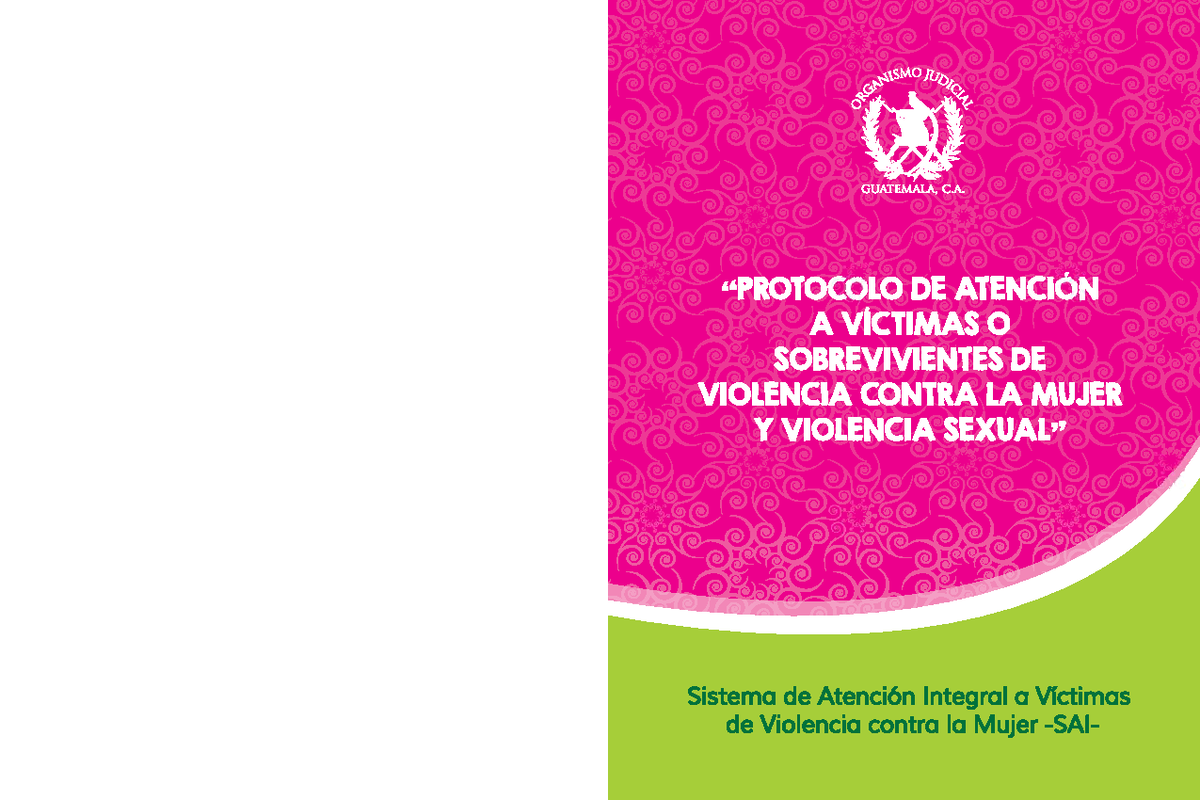 Protocolo de Atención a Víctimas de Violencia Contra la Mujer y Sexual ...