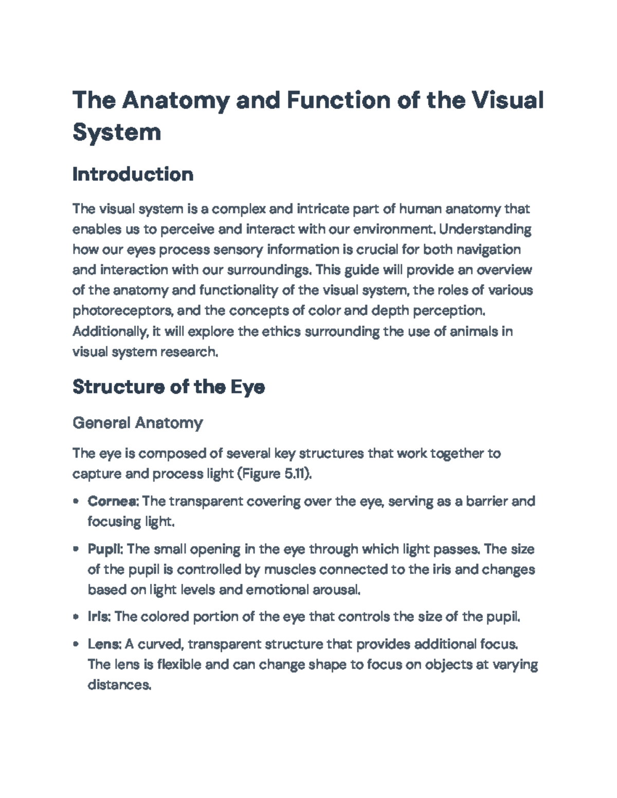 Anatomy and Function of the Visual System: Insights on Perception - The ...