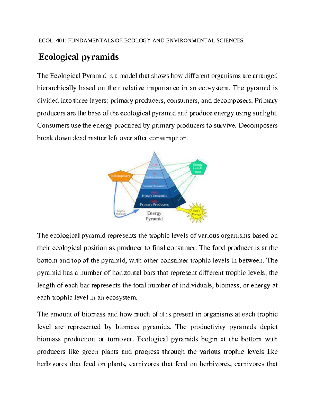 Characteristics and Types of Ecological Pyramids - Environmental ...
