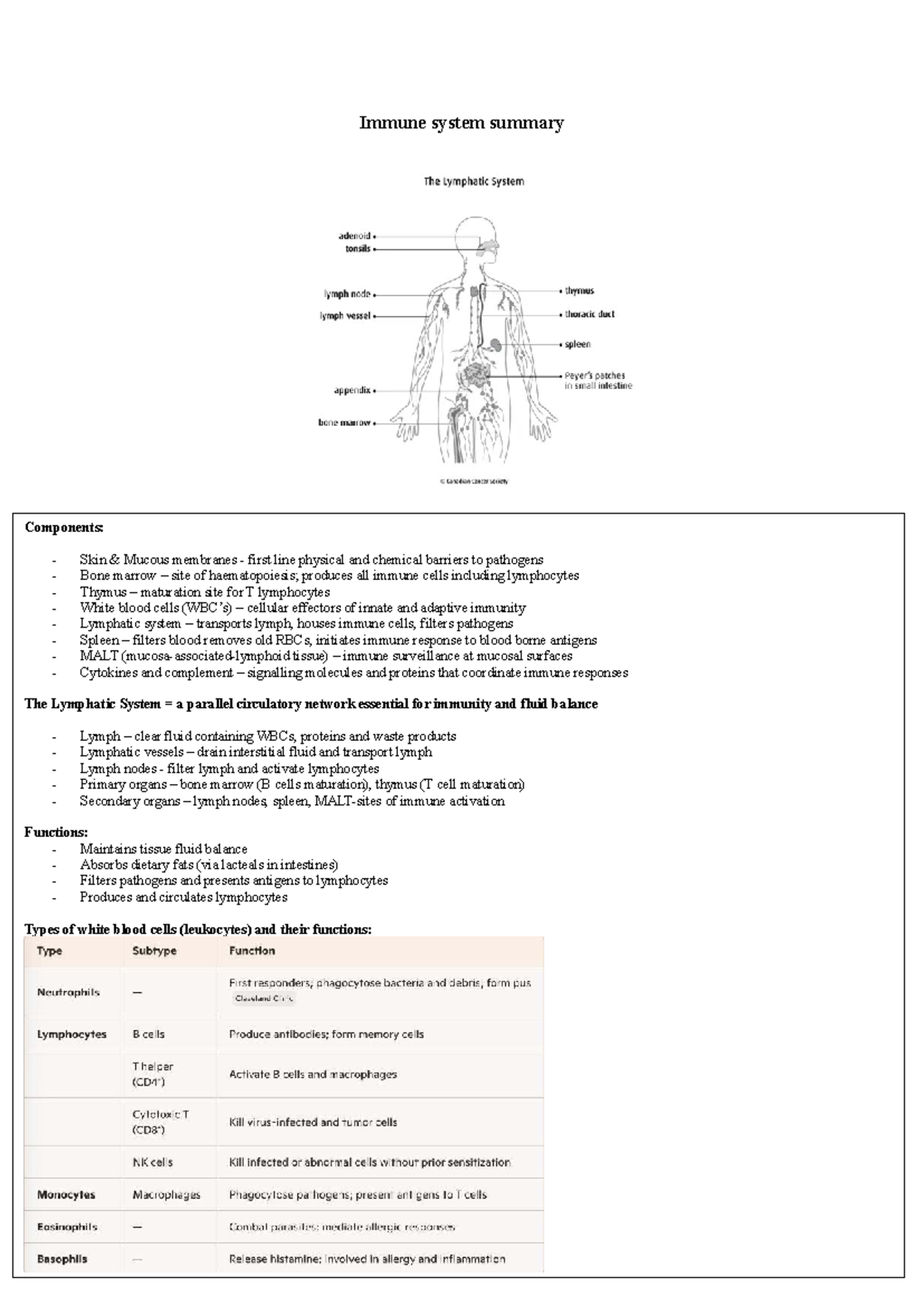 Immune System Overview: Key Components and Functions - Studocu
