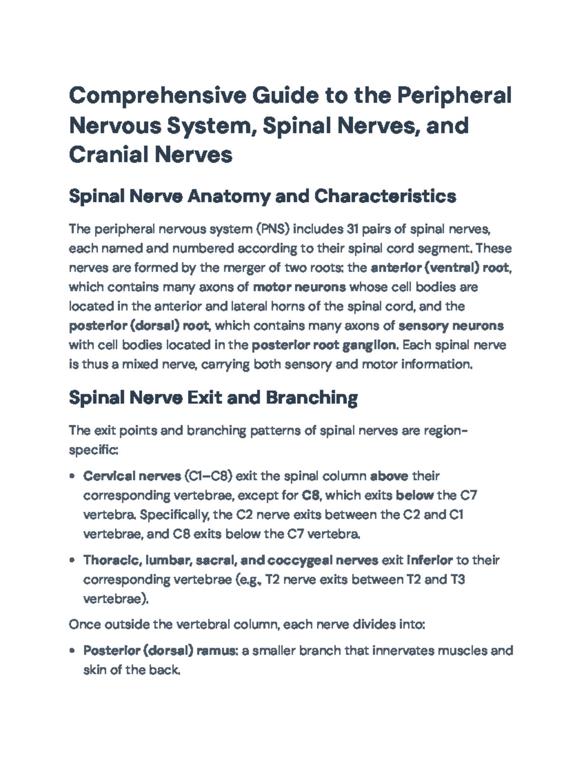 Comprehensive Overview of the Peripheral Nervous System (PNS ...