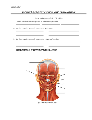 Introduction to the human body Lab Handout-1 - An Introduction to the ...
