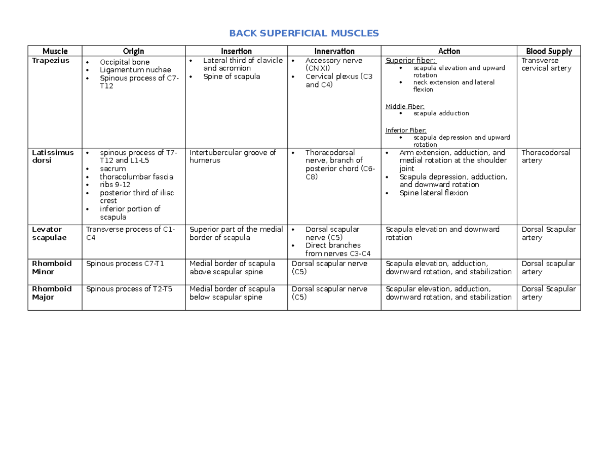 BACK Superficial Muscle Anatomy and Function Notes - Studocu