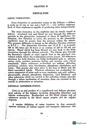Micro 2 Midterm Study Outline: Cutaneous and Subcutaneous Mycoses - Studocu