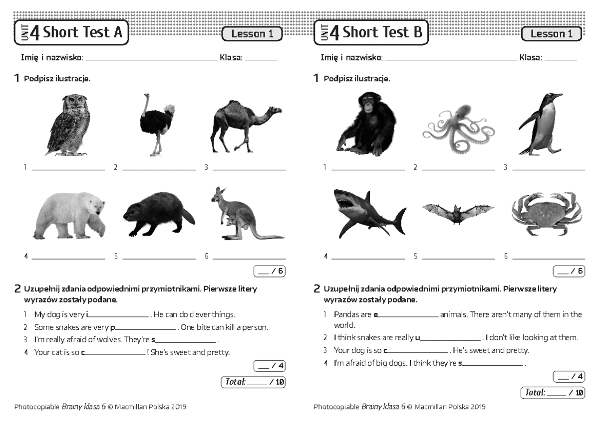 Brainy Klasa 6 Unit 3 Sprawdzian Brainy kl6 Unit Test 8 B - Test po rodziale - UNIT 8 Test B Imię i