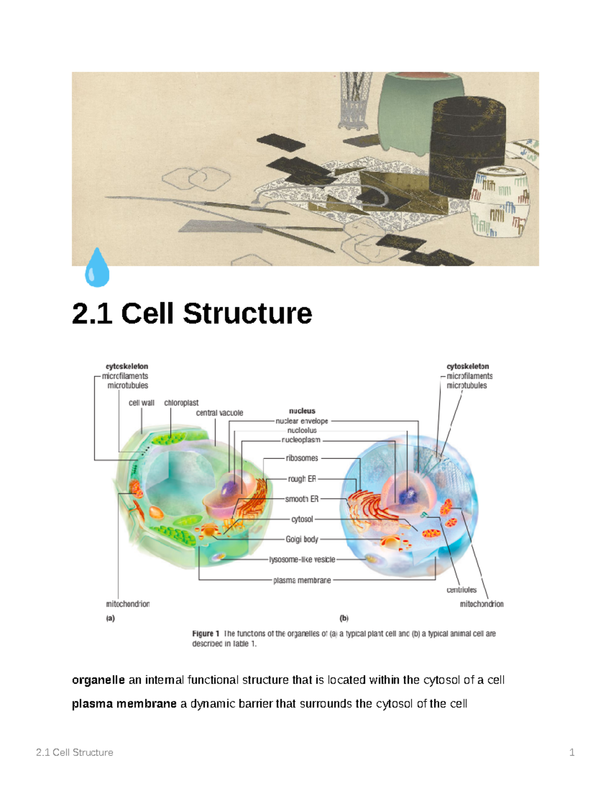 CHAPTER 2.1 CELL STRUCTURE - 2 Cell Structure organelle an internal ...
