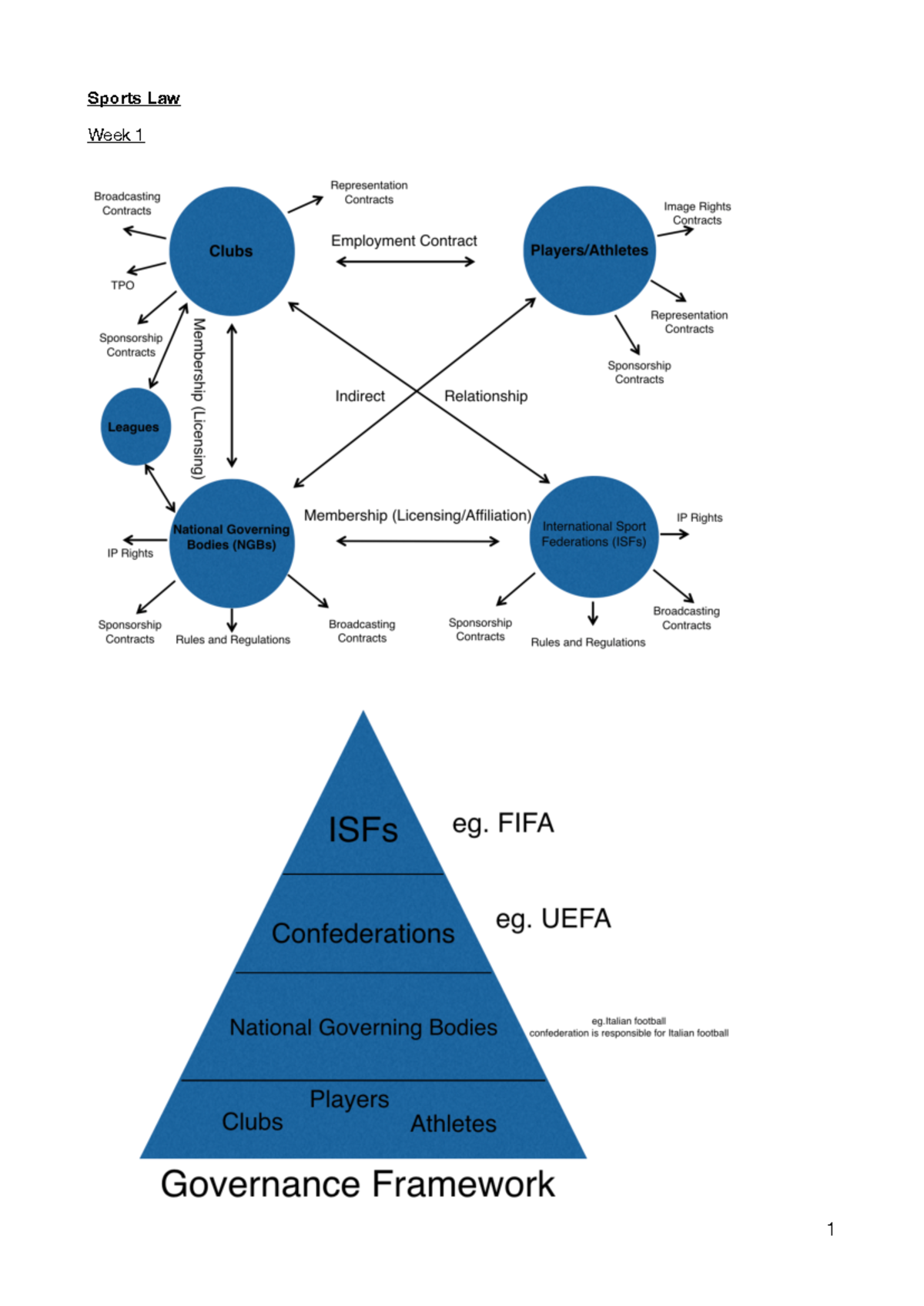 Sports Law Notes: Framework, EU Regulations, and Commercial Issues ...