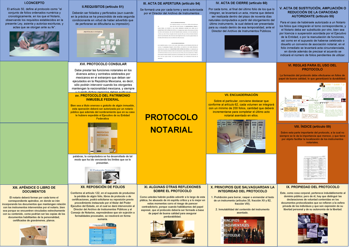 AC S03 Semana 03 Tema 2 Tarea - Organizador visual sobre el protocolo ...