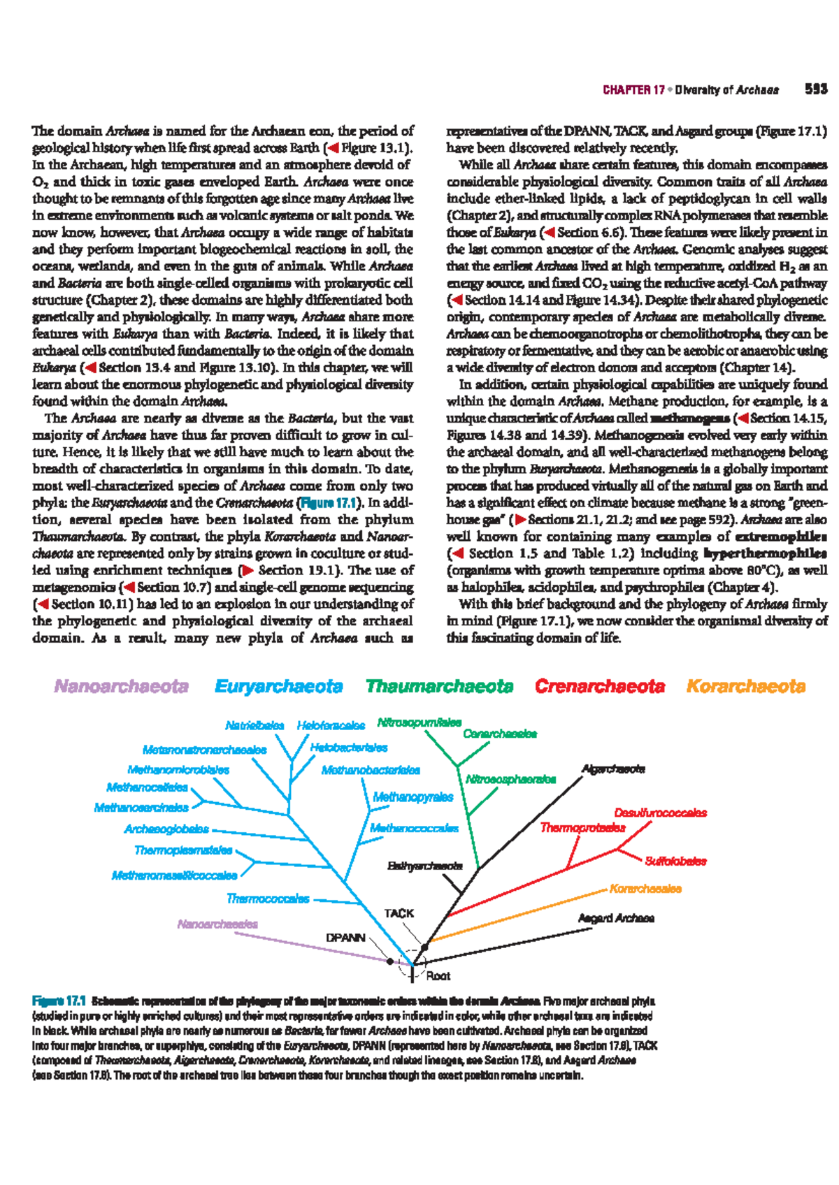 Domain Archaea (part 1) - CHAPTER 17 Diversity of Archaea 593 The ...