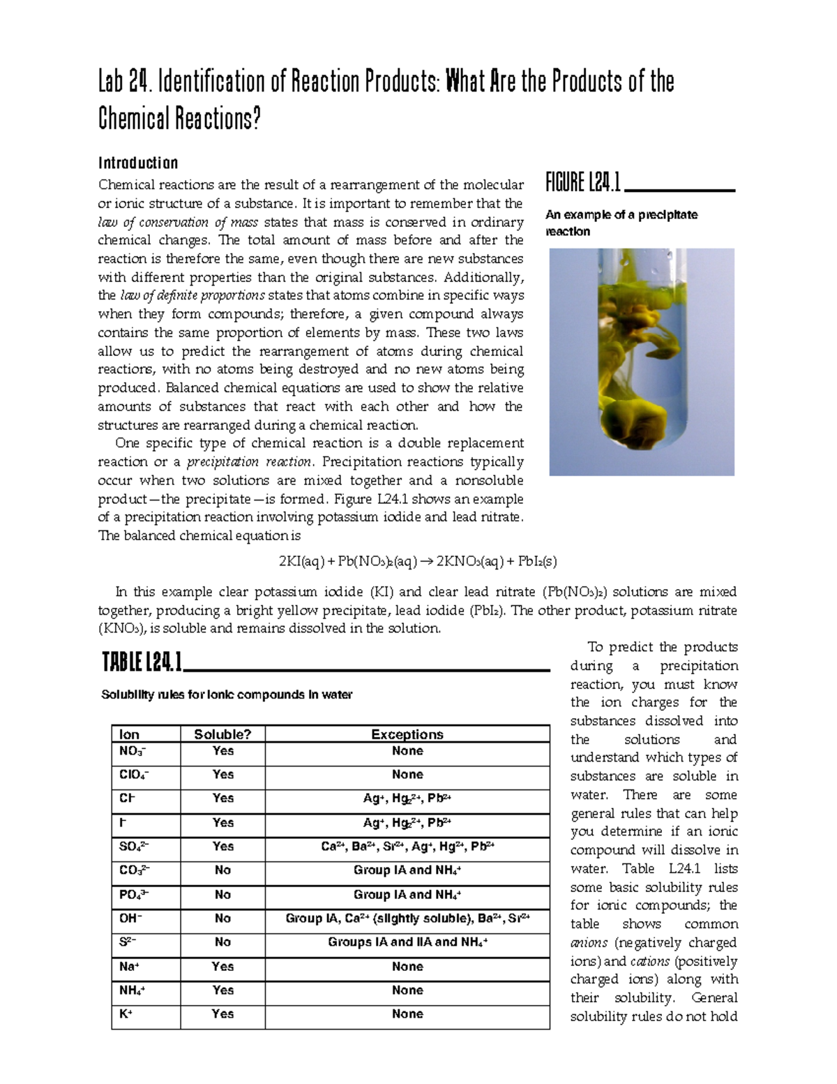 Lab 24: Identifying Reaction Products in Chemical Reactions - Studocu