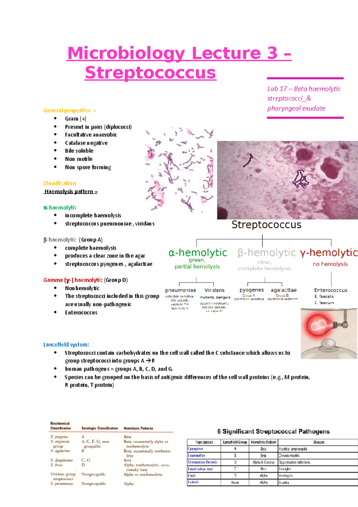 Lecture 3 - Streptococcus Microbiology lecture notes - Medicine - Studocu