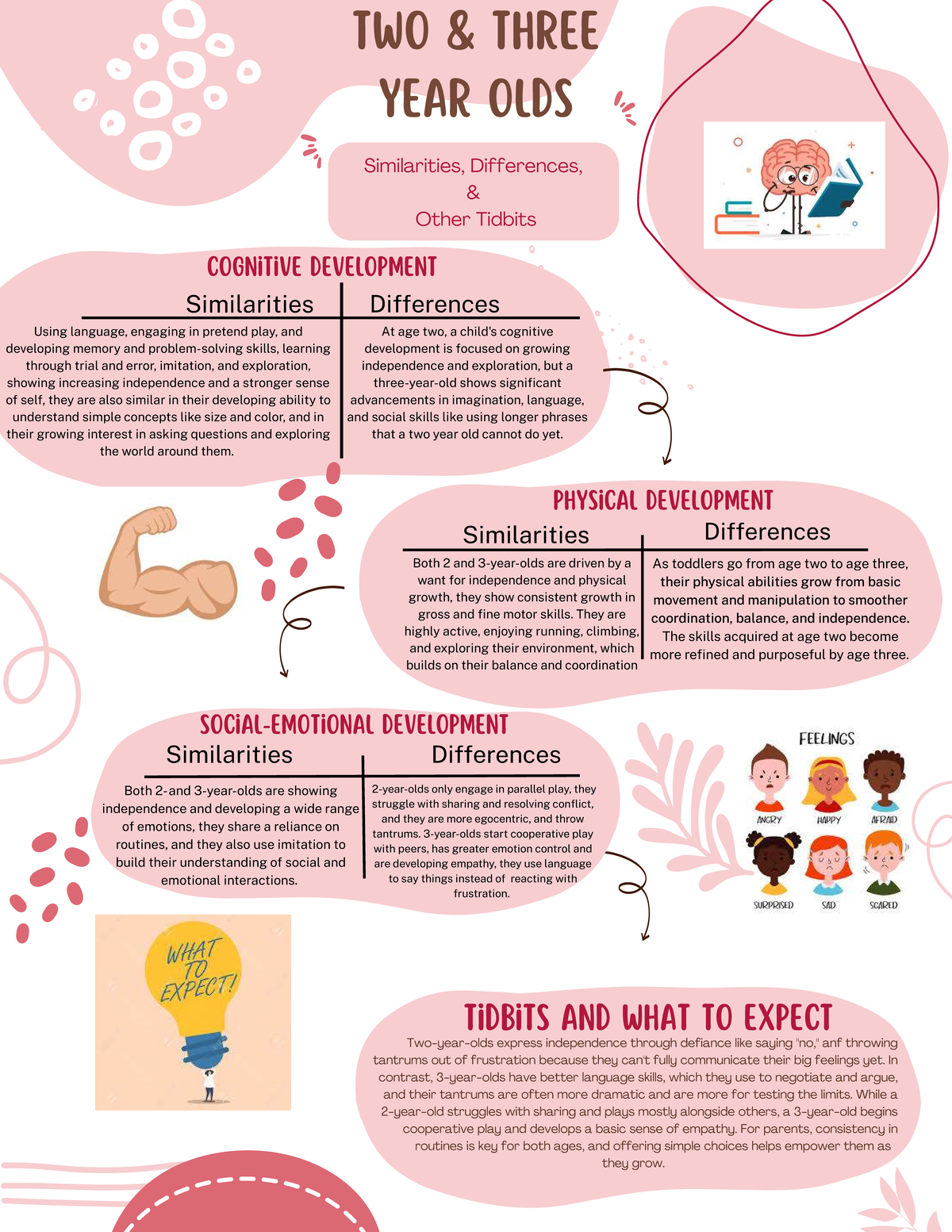 cognitive-physical-development-of-2-3-year-olds-key-insights-studocu