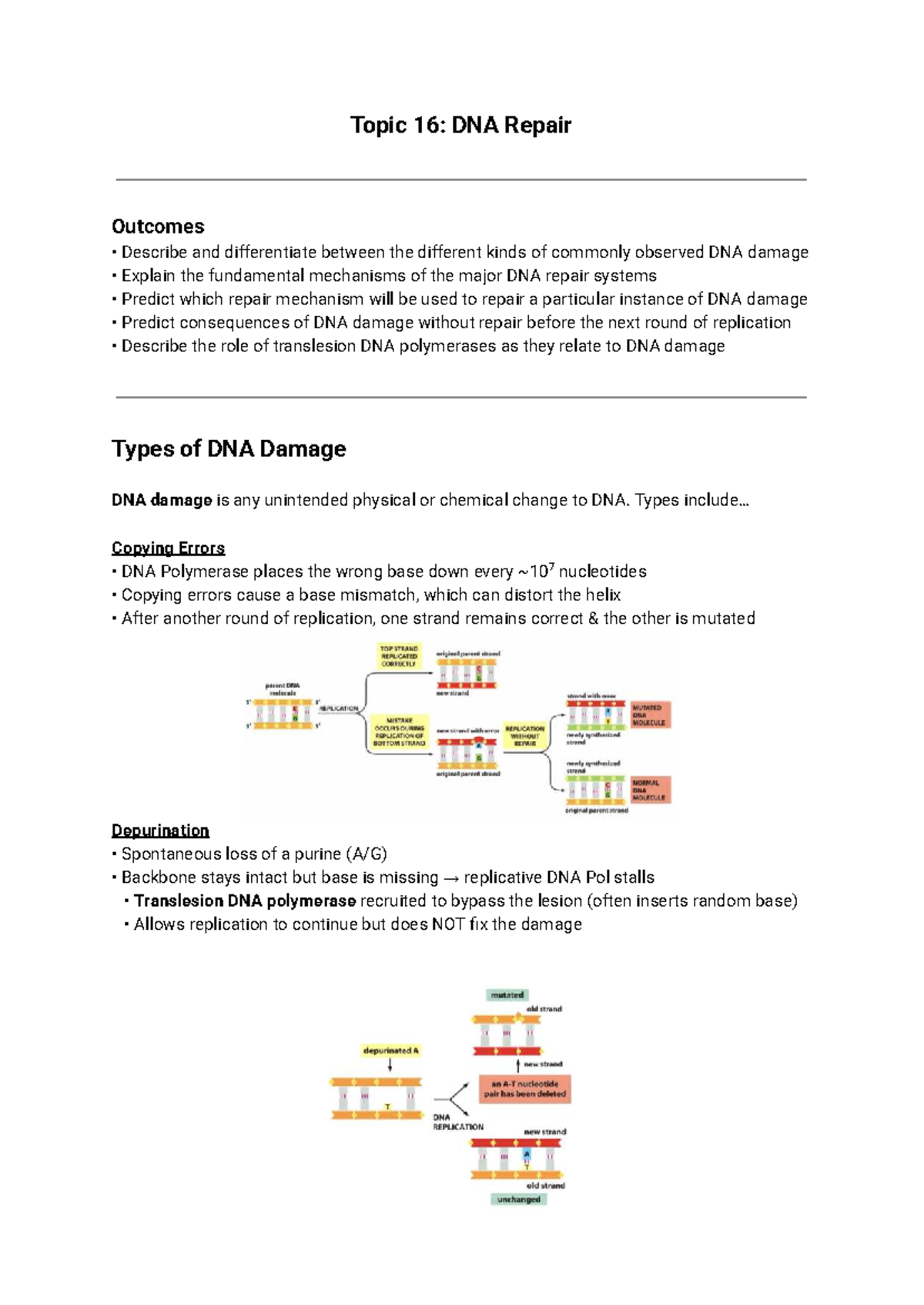 Biochem 2280: DNA Repair Mechanisms and Damage Types - Studocu