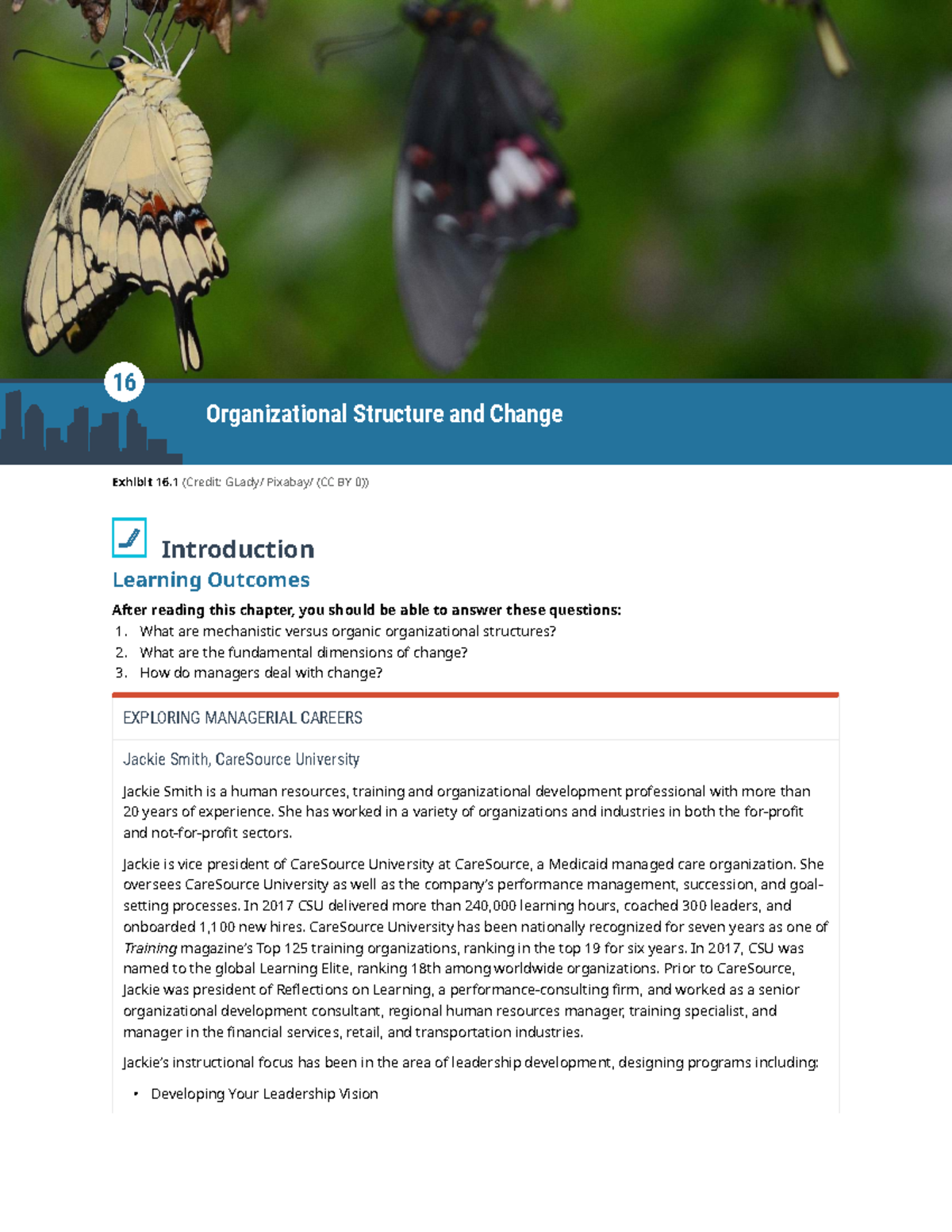 Organizational Behavior Chapter 16: Structures and Change Dynamics ...