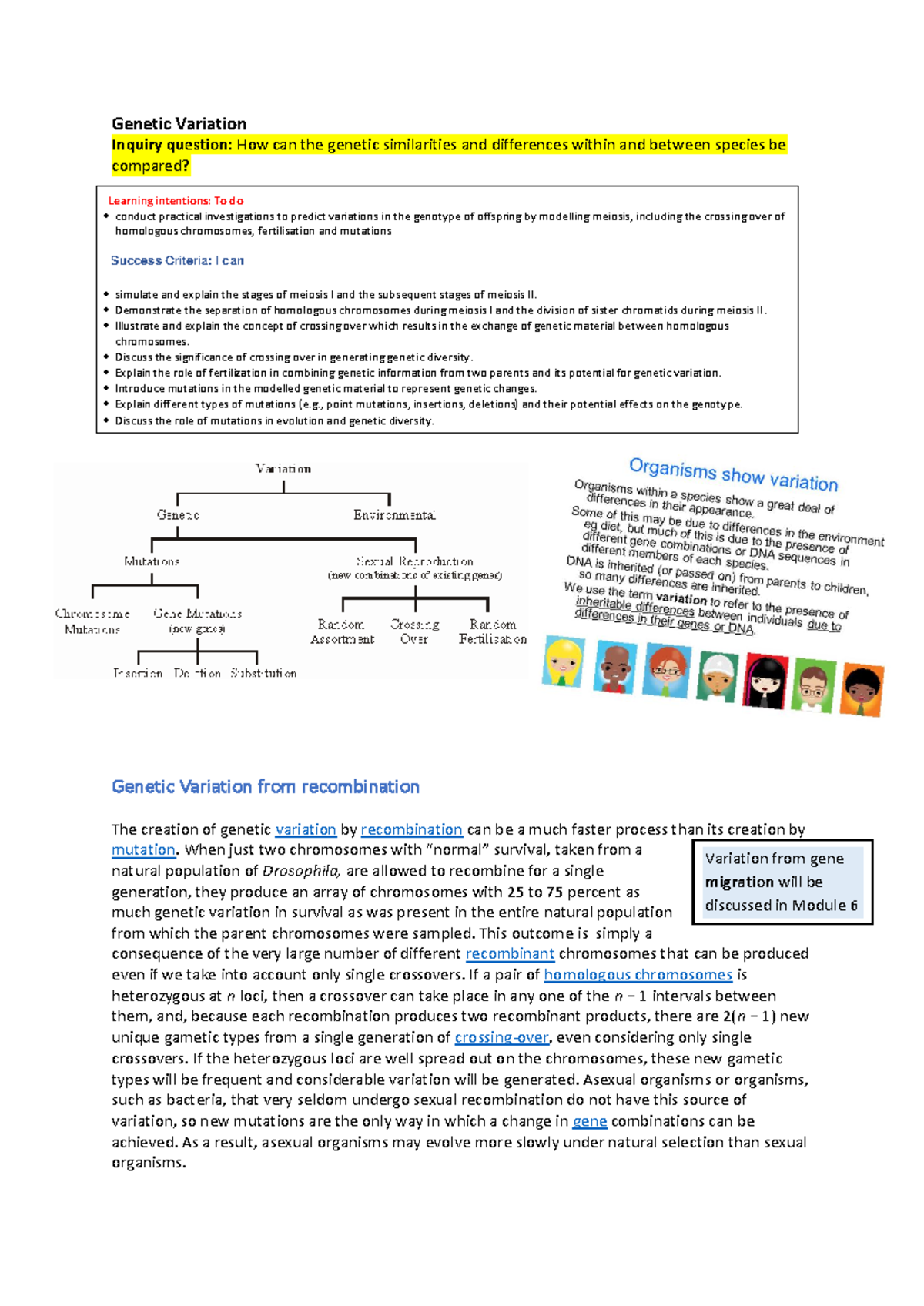 L1 Genetic Variation form meiosis fertilisation and mutations - Genetic ...
