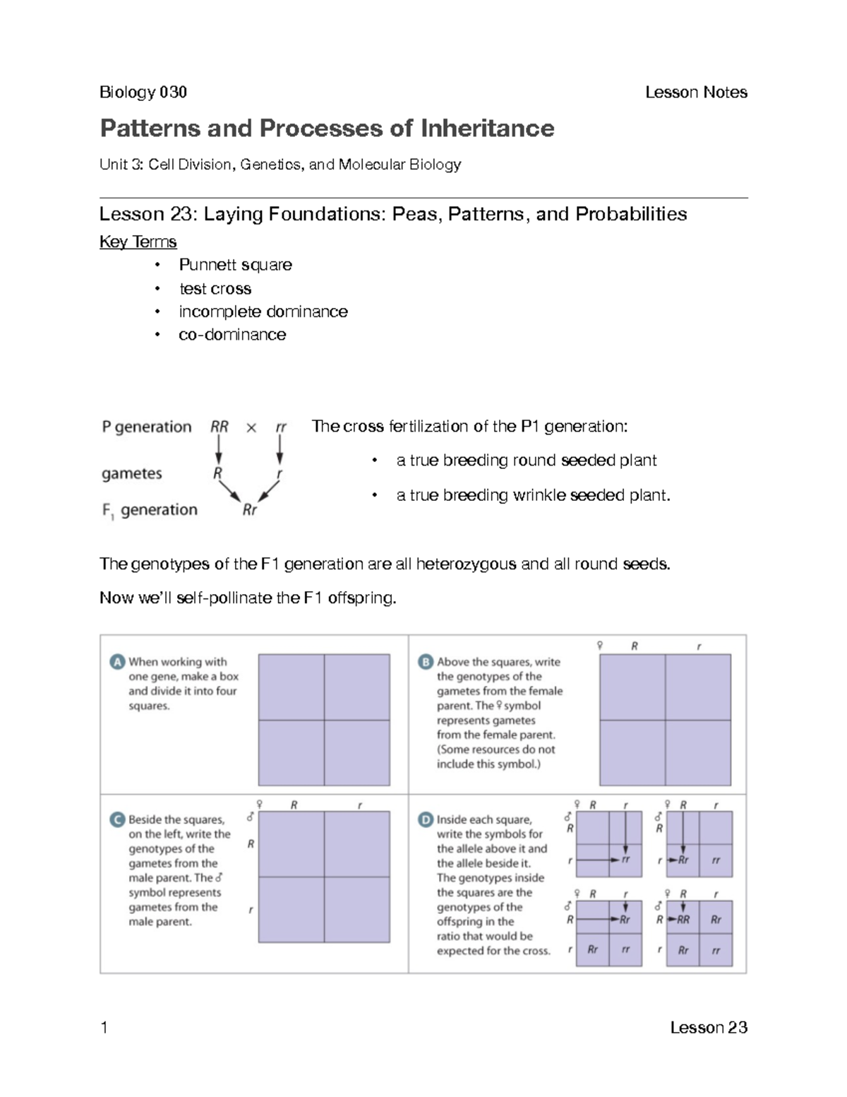 Lesson 23 notes - Patterns and Processes of Inheritance Unit 3: Cell ...