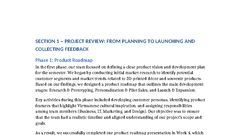 Section 1 Project Review: VN3DDecor Development & Launch Strategy - Studocu