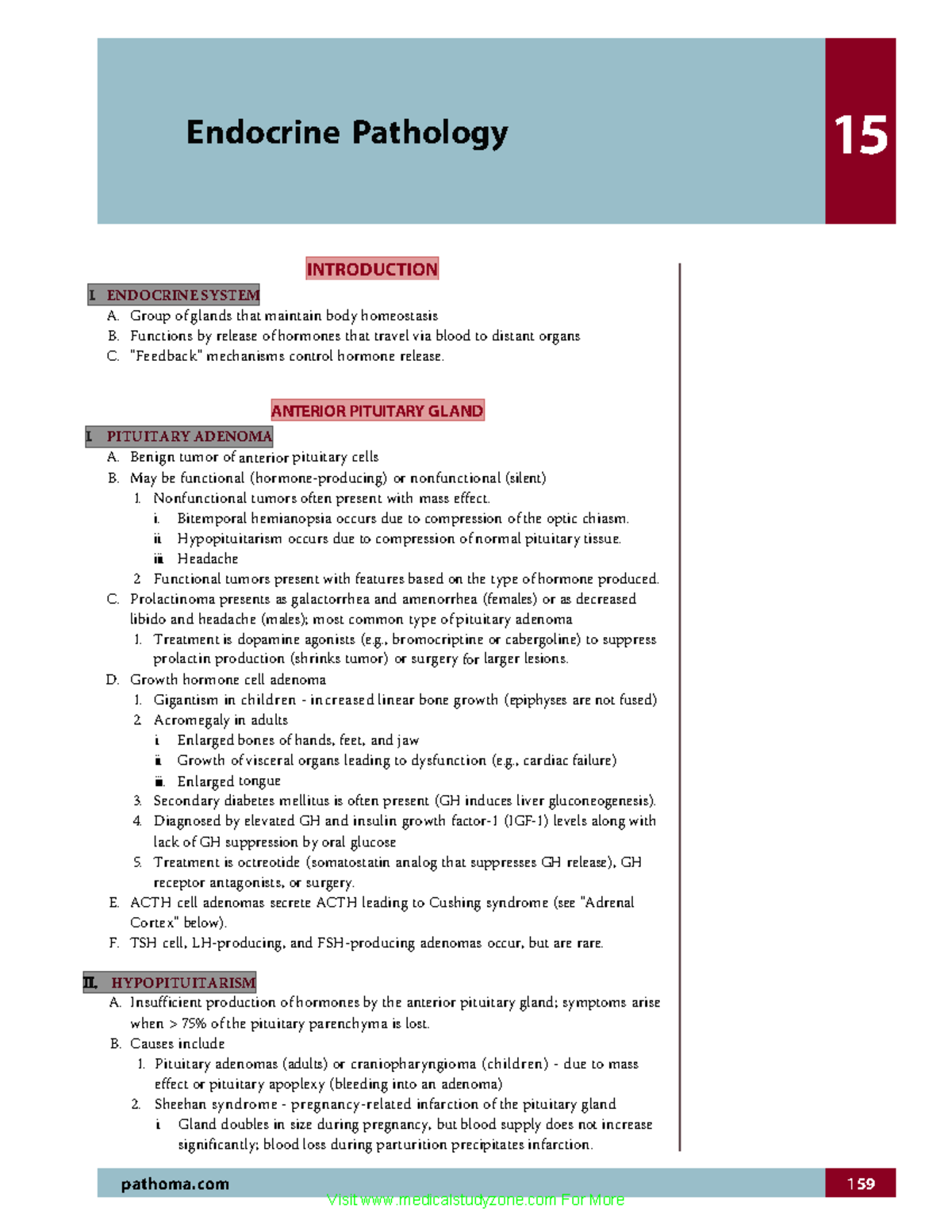 Endocrine Pathology - Comprehensive Study Notes for MED 101 - Studocu
