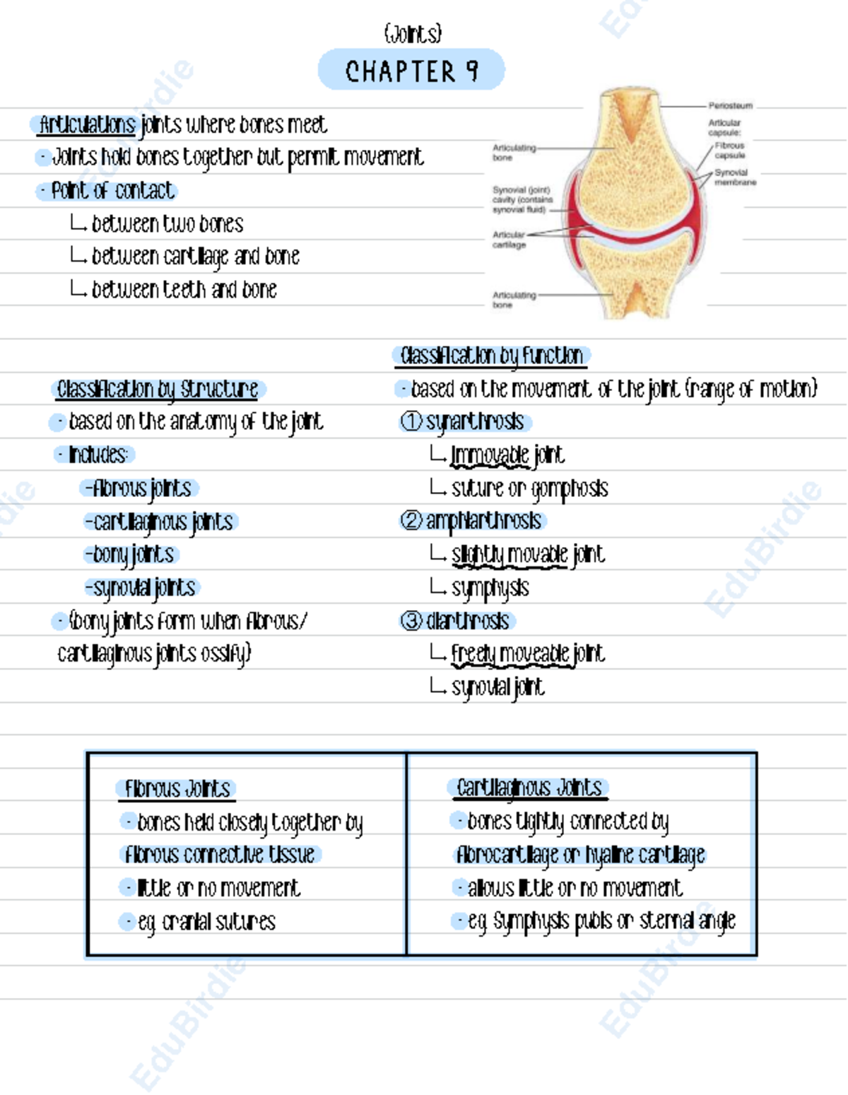 74435 Chapter 9: Joints - Detailed Notes on Articulations - Studocu