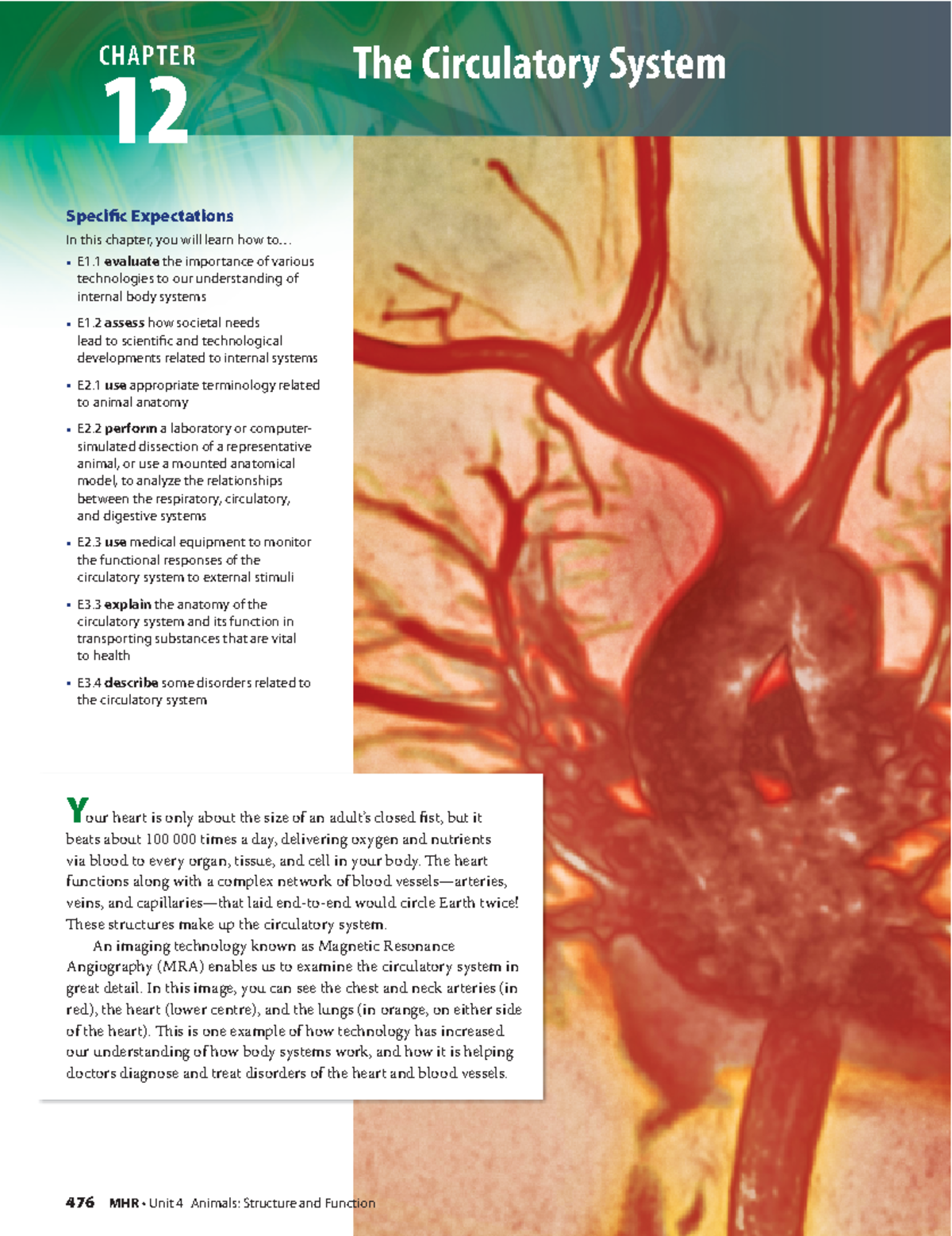 BIO11 CH12 - The Circulatory System Overview and Functions - Studocu