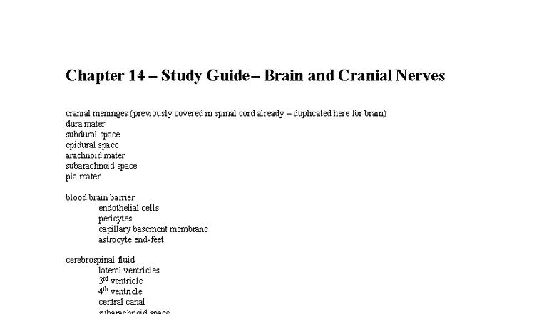 BSC 2093C Chapter 14 Study Guide: Brain & Cranial Nerves - Studocu