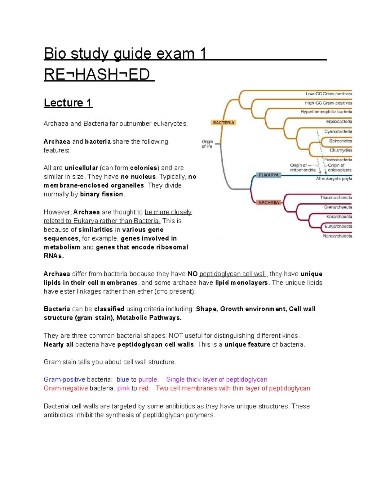 Bio study guide exam 2 - Summary General Biology II - Bio study guide ...