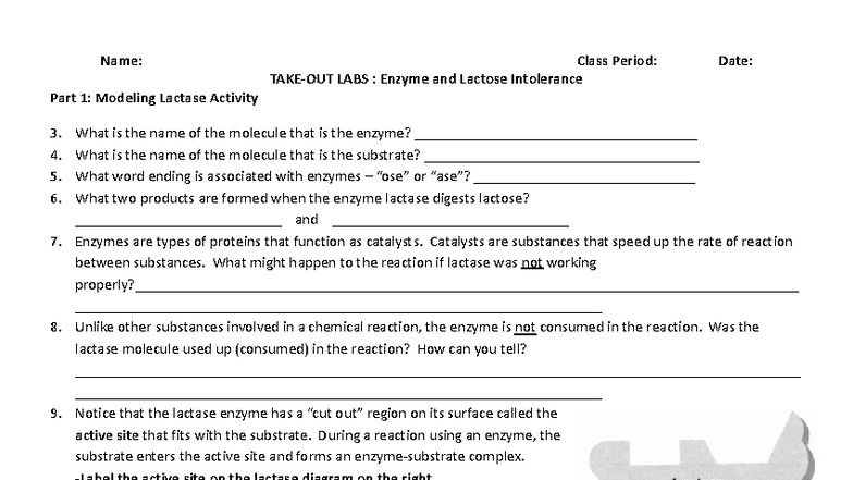 Lactase and Lactose Intolerance Lab Experiment Guide (Bio 101) - Studocu