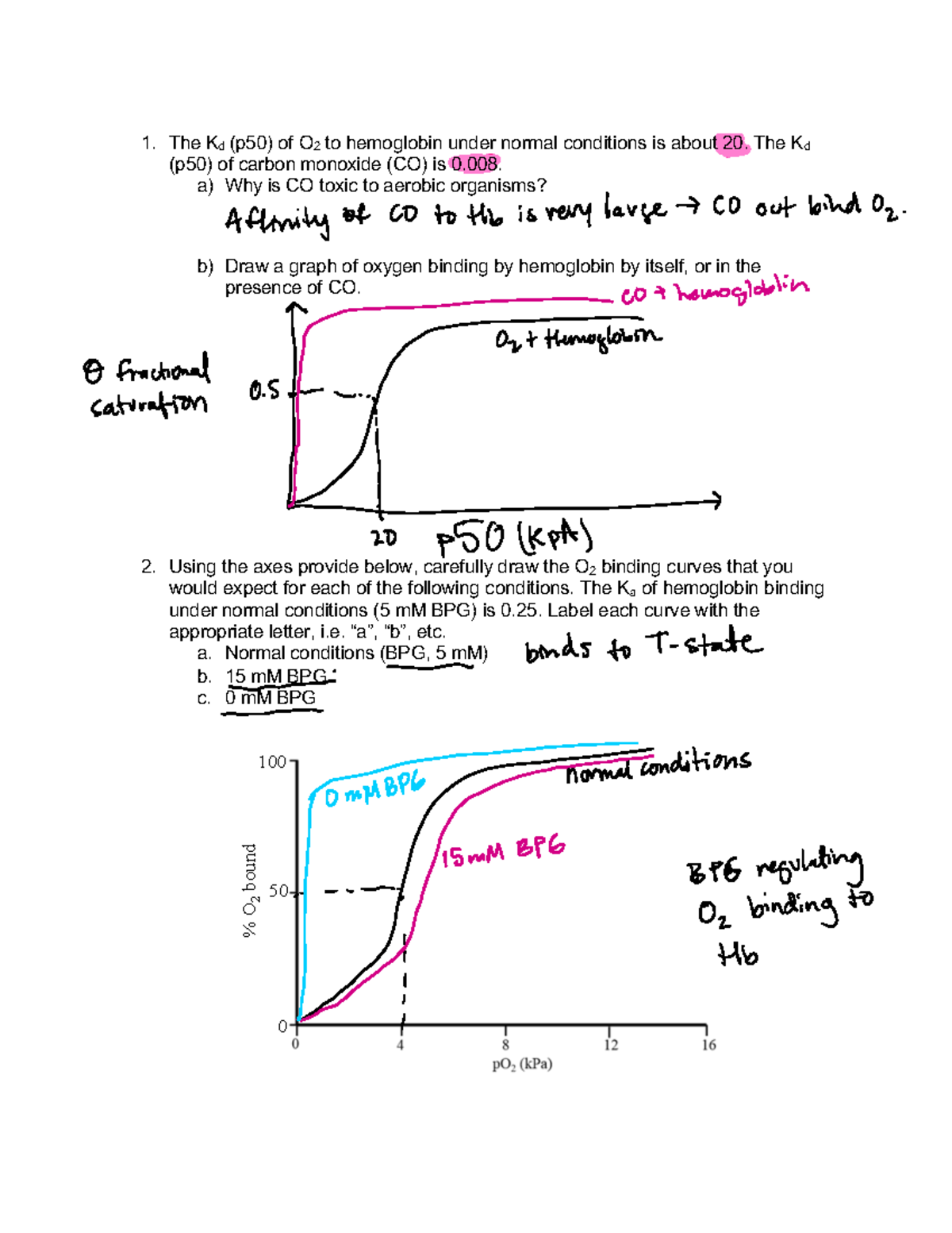 Protein Function Practice Problems (KEY) for BIOL101 - Studocu