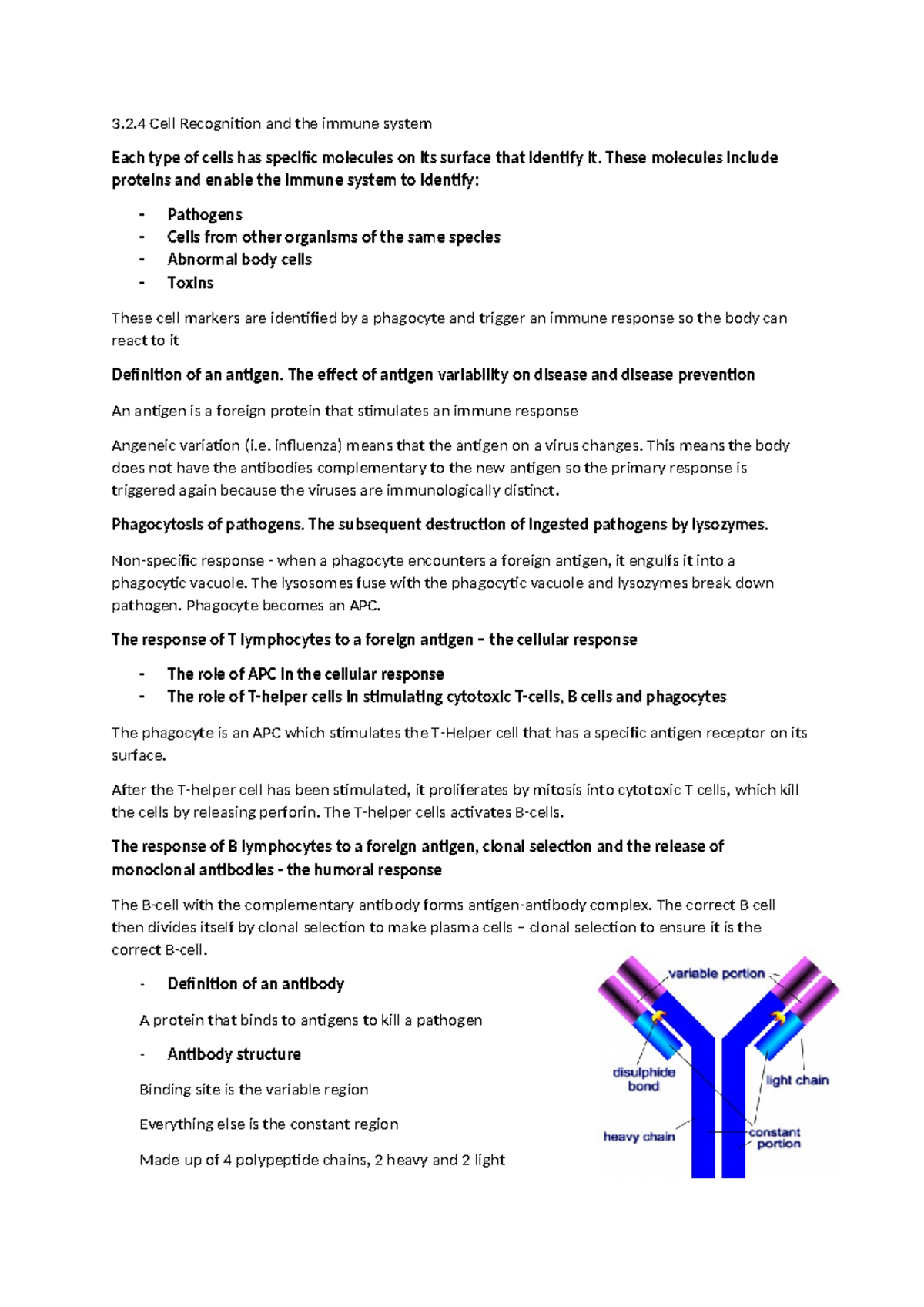 2C Immune System Lecture Notes: Cell Recognition & Antibody Response ...