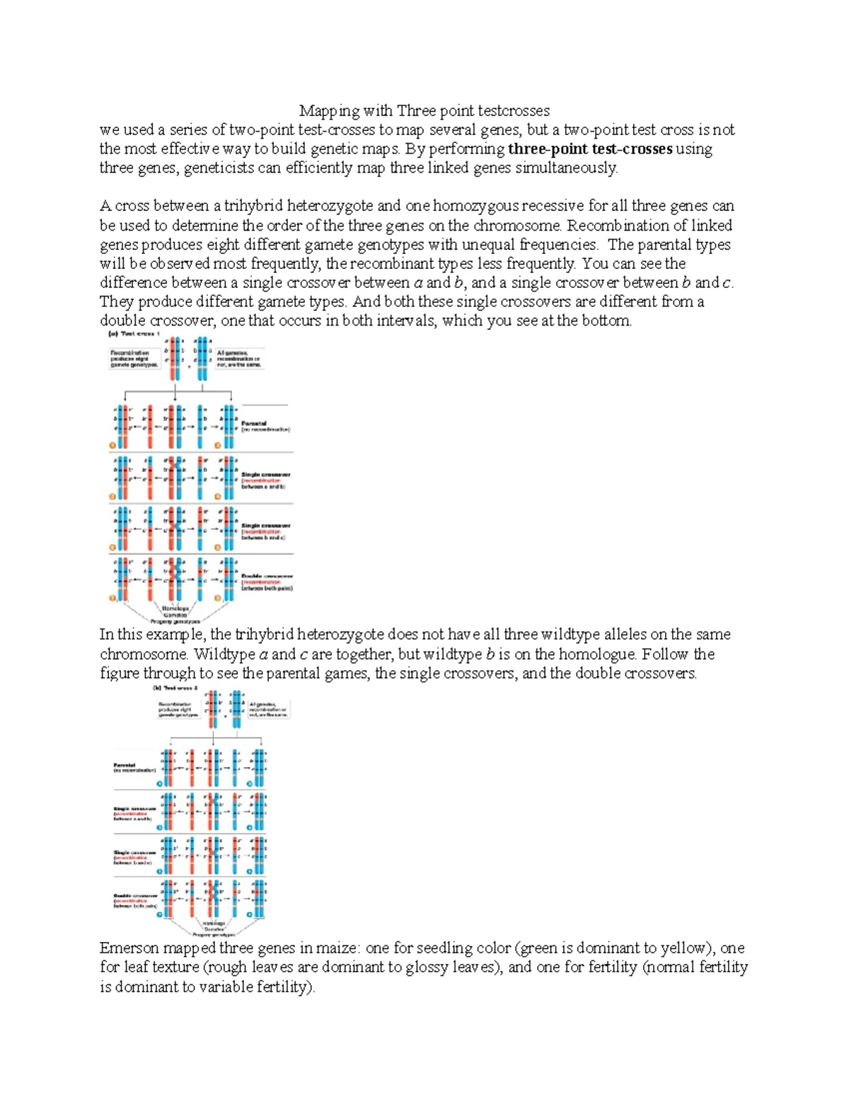Population Genetics worksheet - Population Genetics Questions: Answers ...