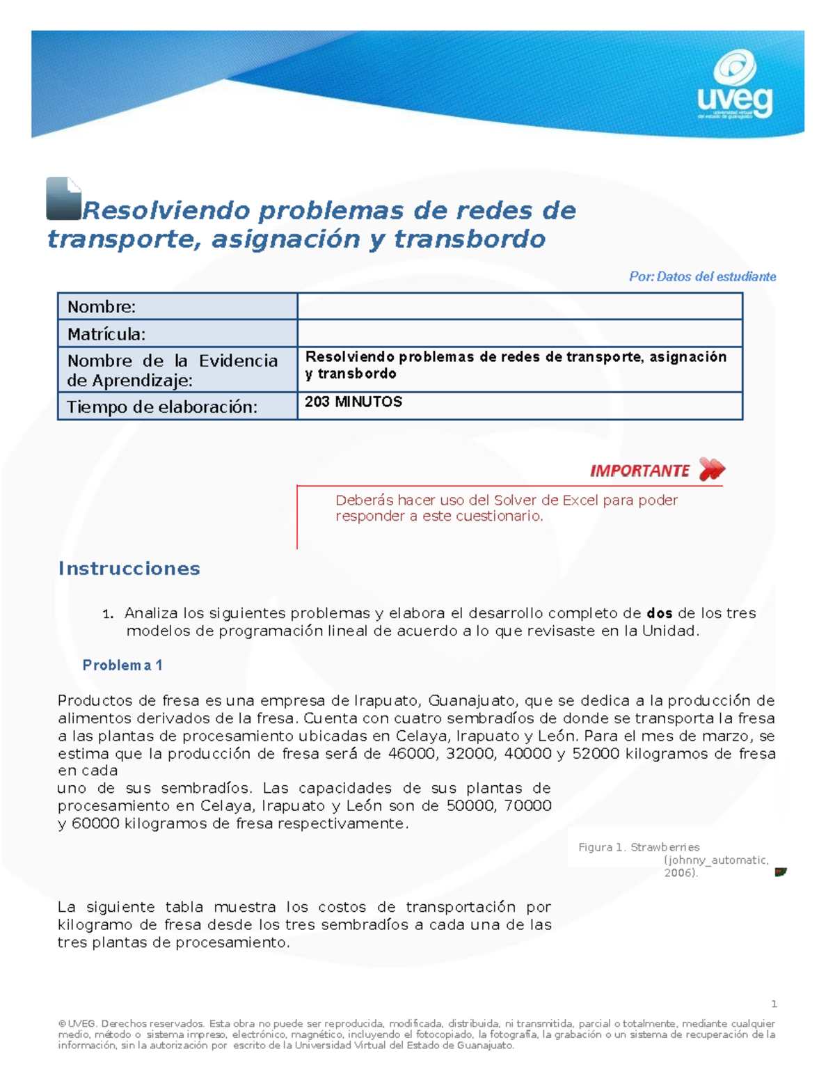Problemas de Redes de Transporte y Asignación UVEG: Análisis y ...