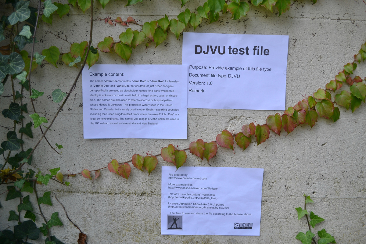 Example 7 - DJVU File Type Exploration and Legal Naming Practices - Studocu
