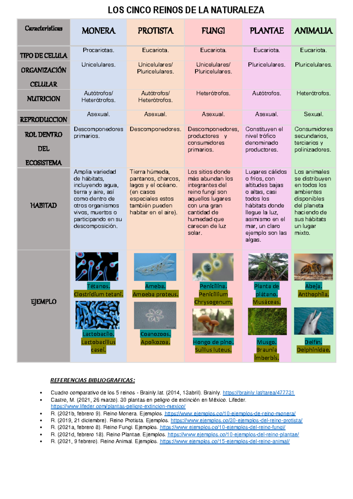 Los 5 Reinos de la Naturaleza: Características y Ejemplos - Studocu
