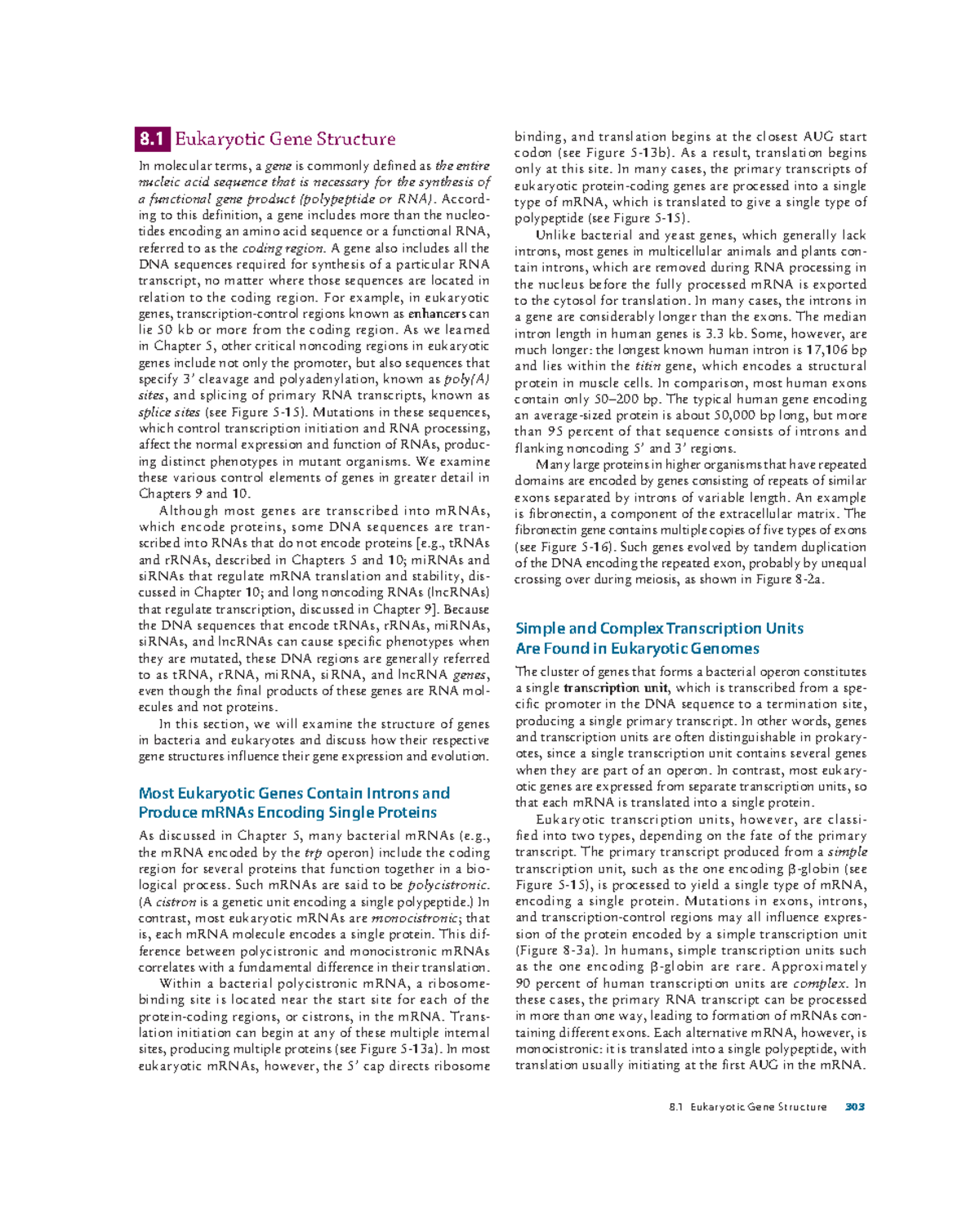 8.1 Eukaryotic Gene Structure: Insights from Lecture 2 - Studocu
