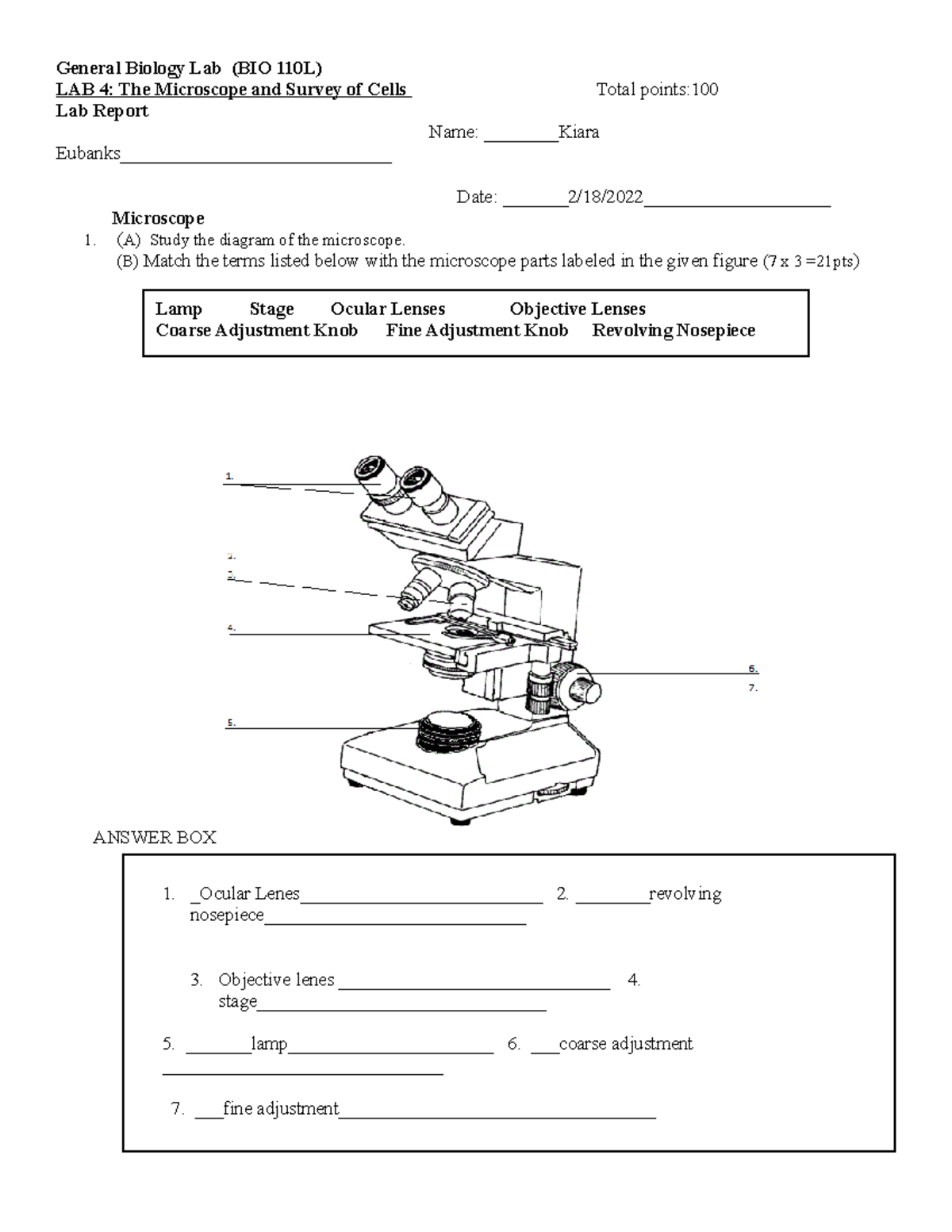 BIO 110L Lab 4 Report: Exploring Microscopes and Cell Structure - Studocu