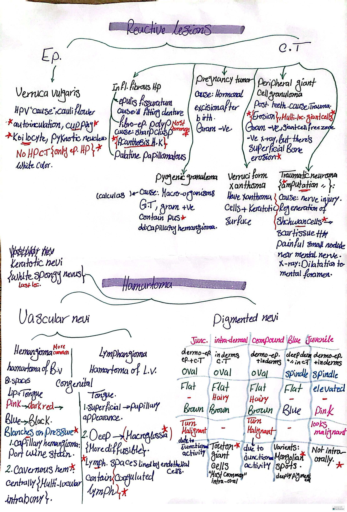 Opath-Ghaly: Reactive Lesions and Tumors in Oral Pathology - Studocu