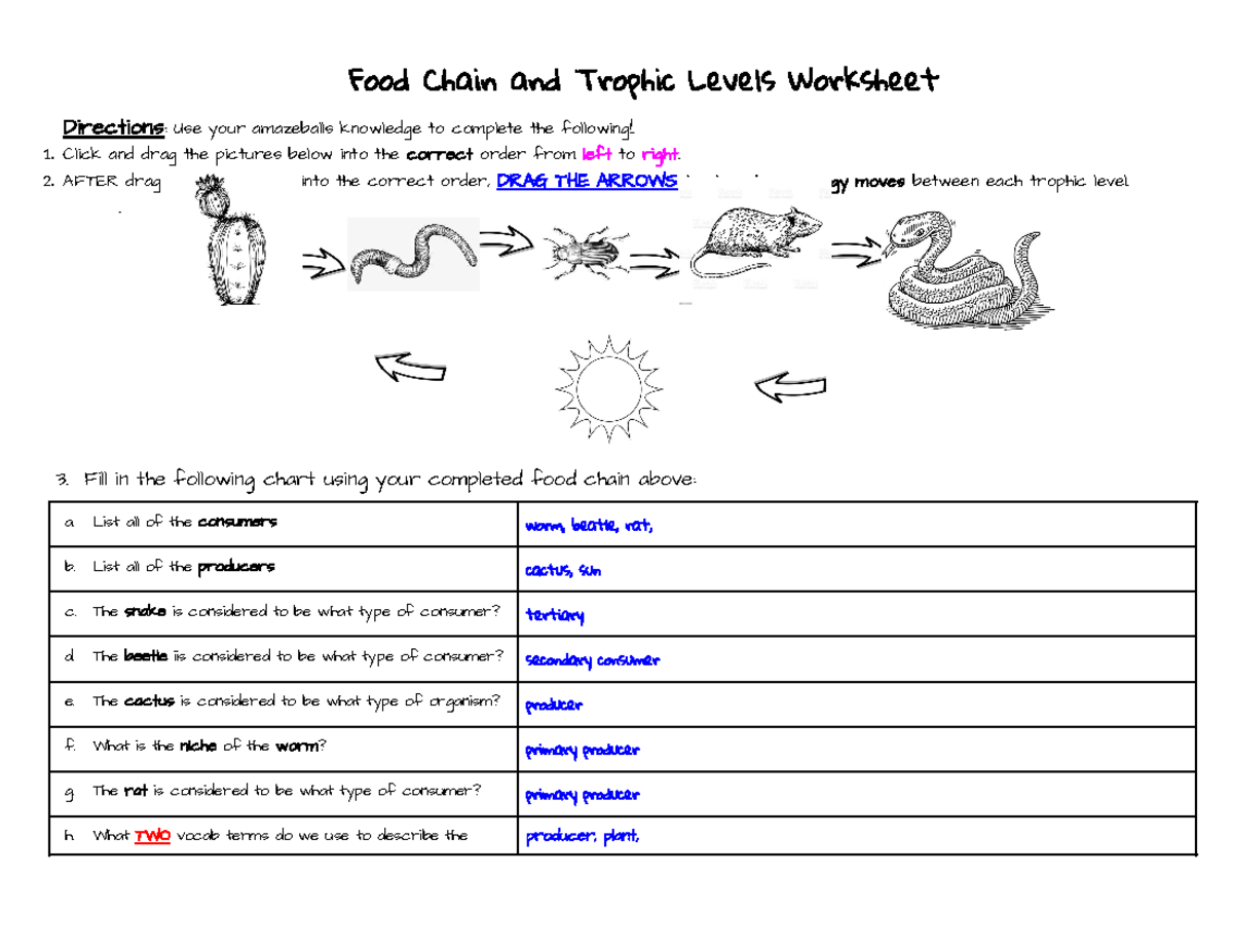 Copy of Food Chain Worksheet - Food Chain and Trophic Levels Worksheet ...