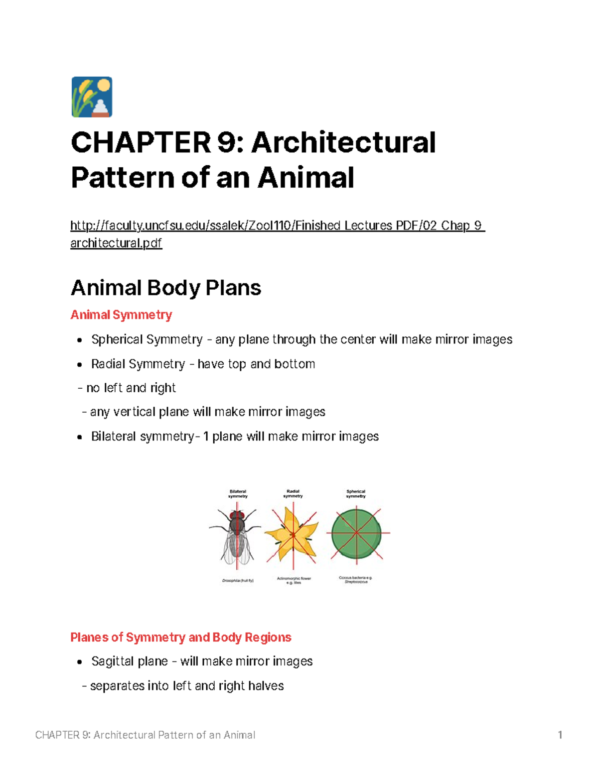 Architectural Pattern of an Animal - CHAPTER 9: Architectural Pattern ...