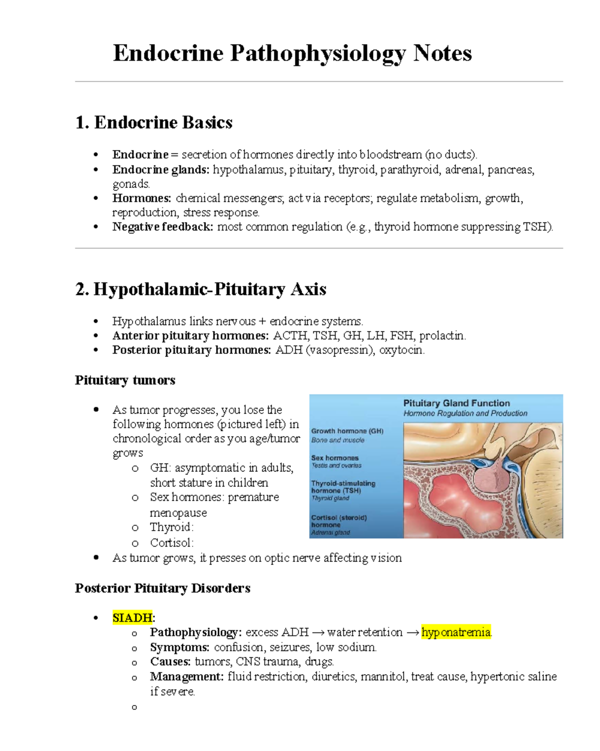 Endocrine Pathophysiology Study Notes: Key Concepts and Disorders - Studocu