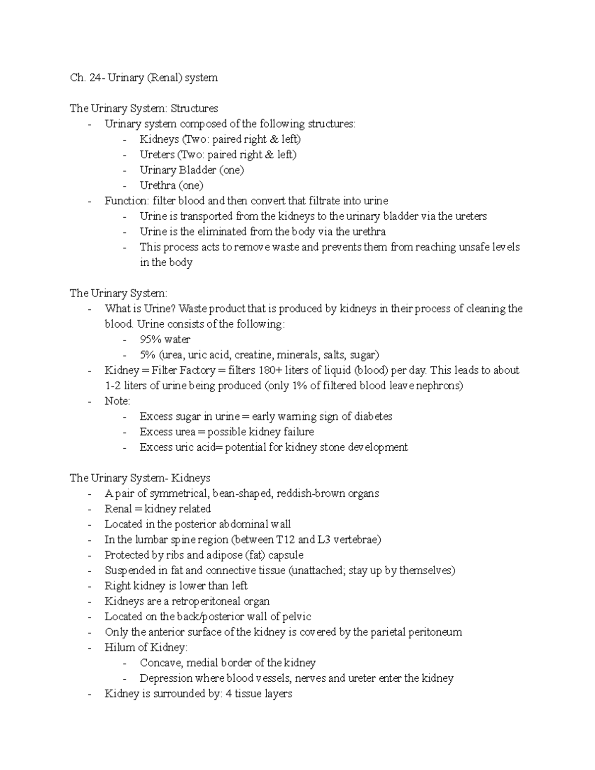 Lecture 5: Detailed Overview of the Urinary System (Ch. 24) - Studocu