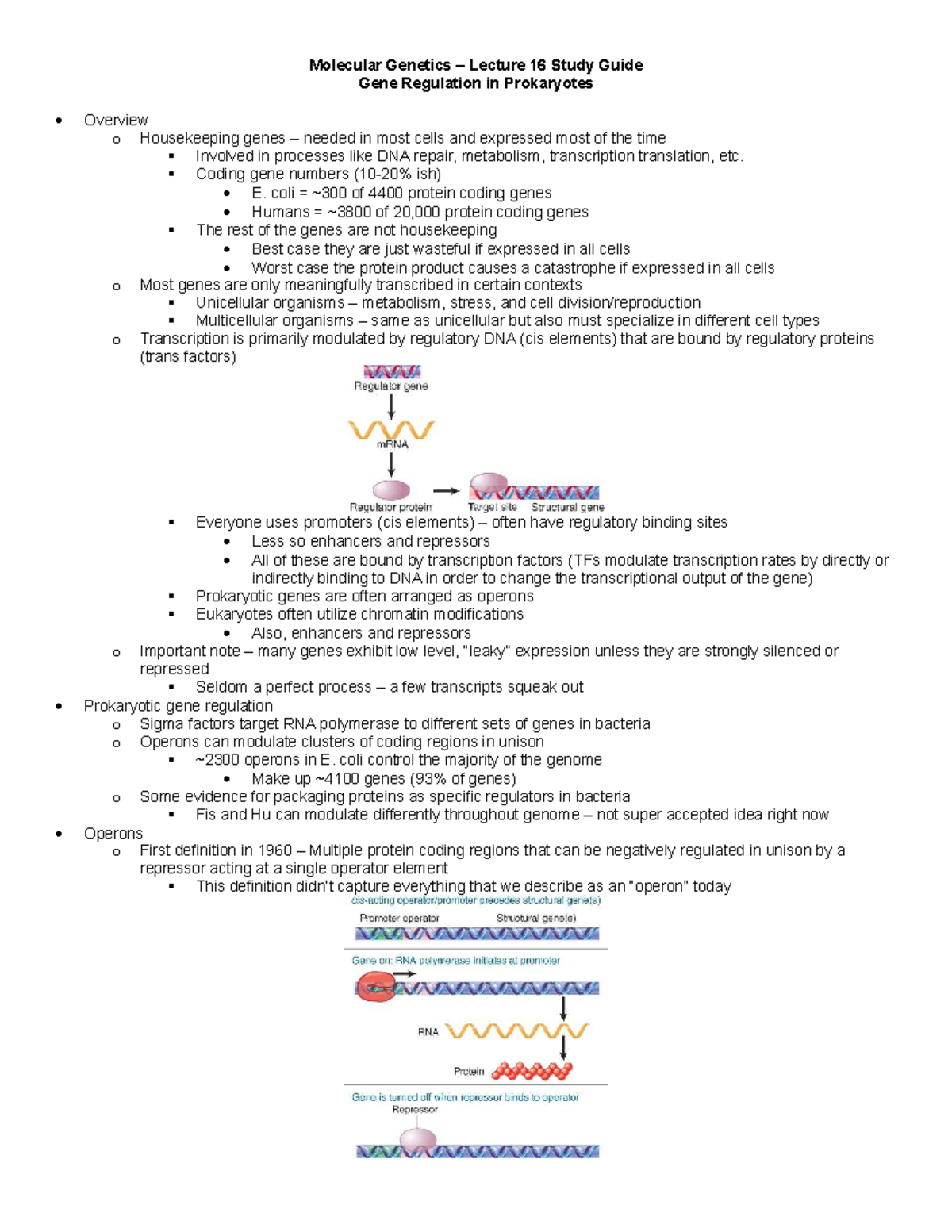 Molecular Genetics Lecture 16 Study Guide: Prokaryotic Gene Regulation ...
