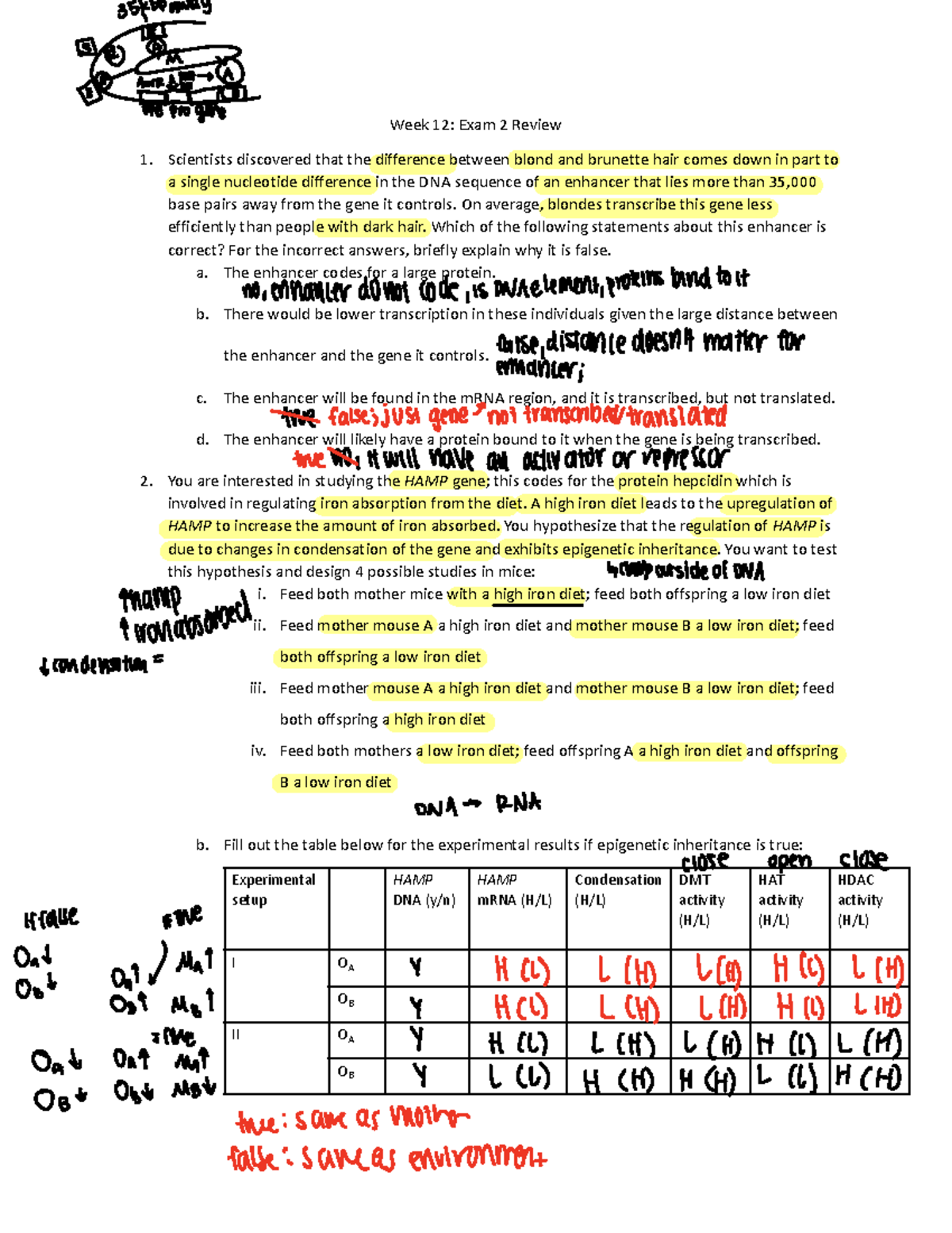Week 12 SP2023: Exam 2 Review - Key Concepts and Experiments - Studocu