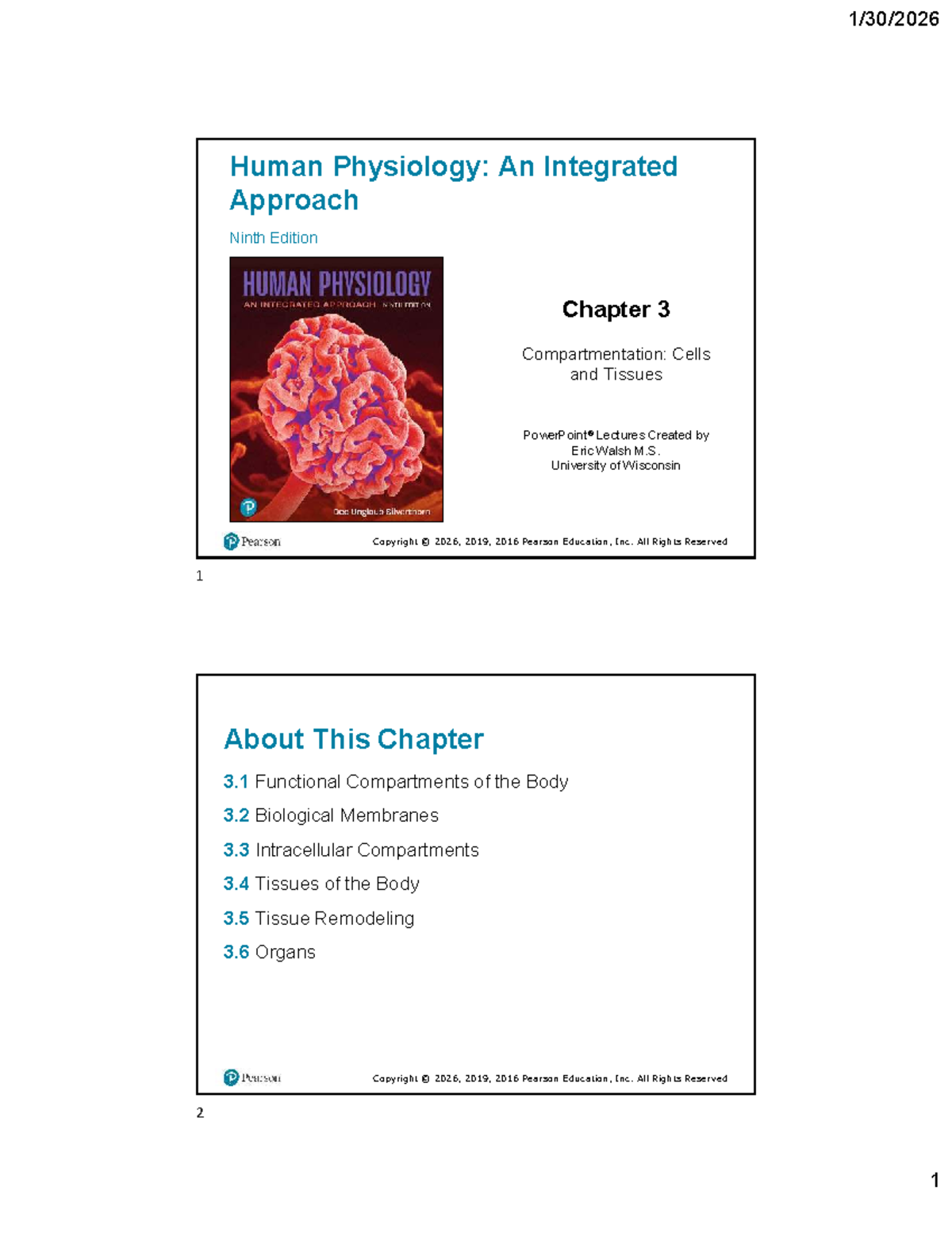 Human Physiology: Chapter 3 - Compartmentation - Studocu