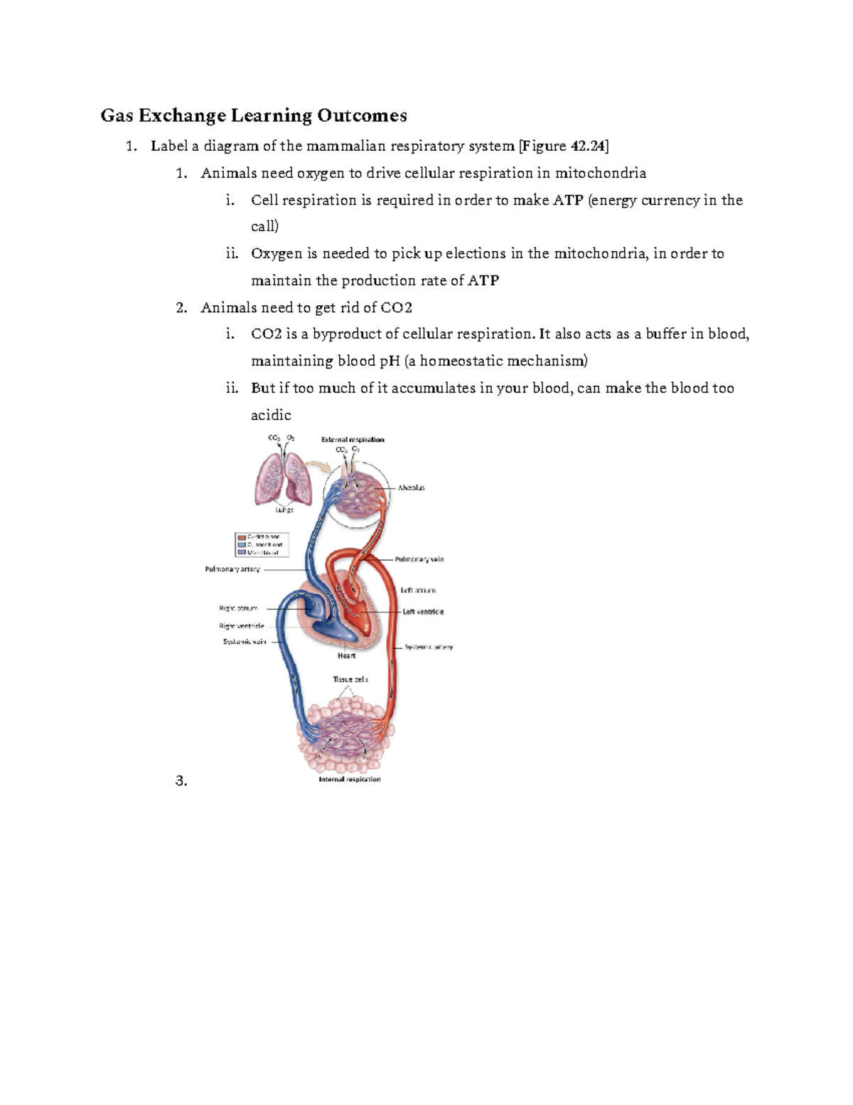 Biol 242 Exam #3 Lo's P3 - Notes for one section of the third exam ...