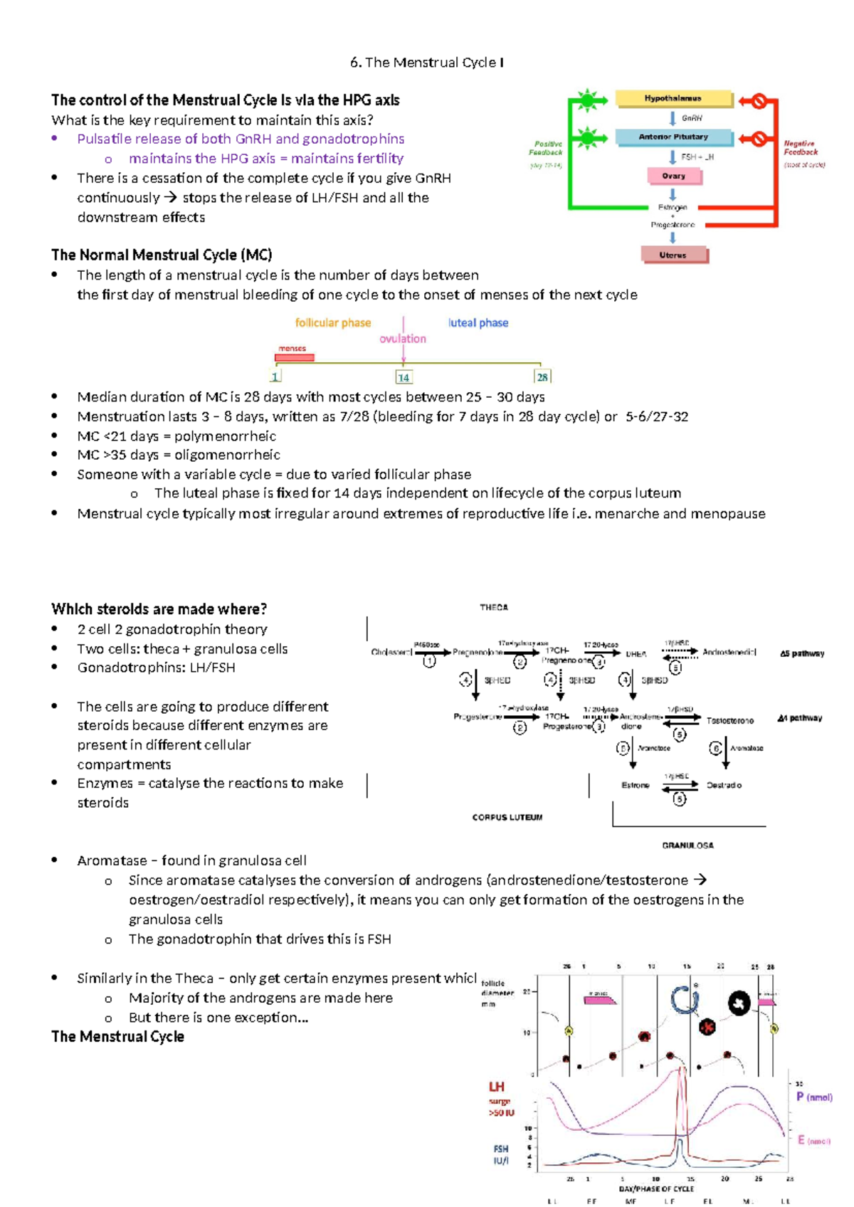 6. The Menstrual Cycle I: Hormonal Regulation and Phases Explained ...