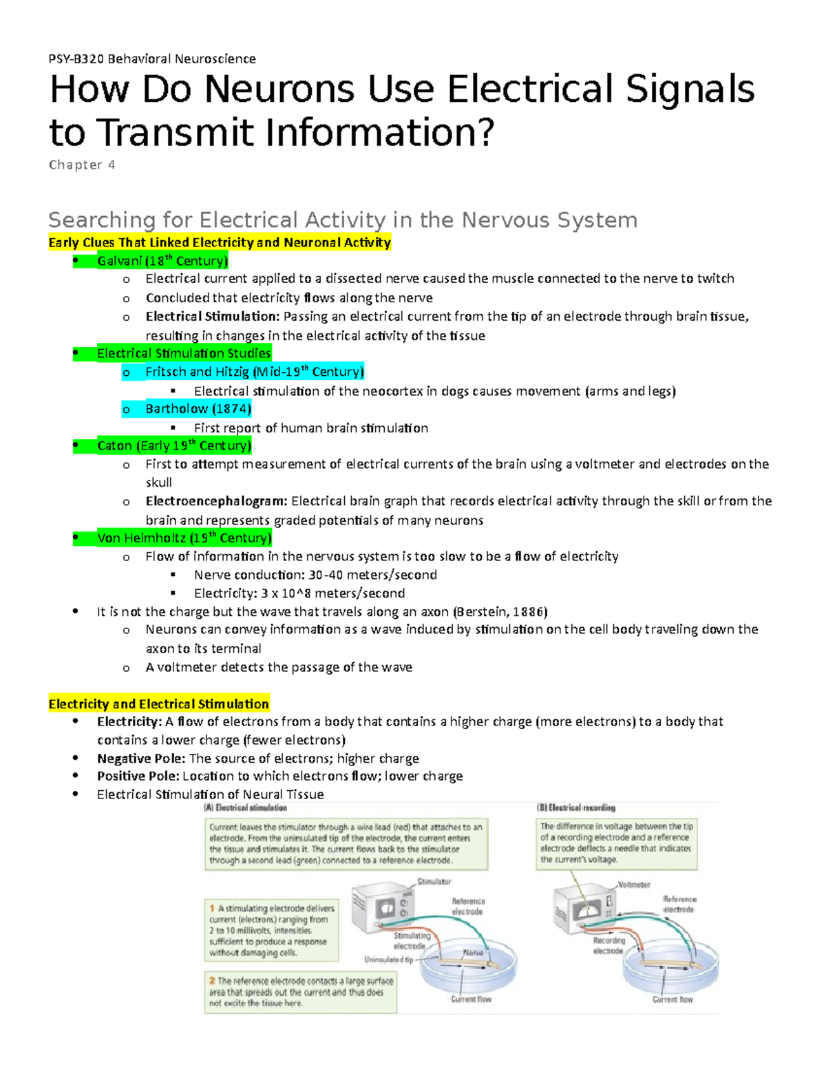 Neurons and Electrical Signals: Understanding Information Transmission ...