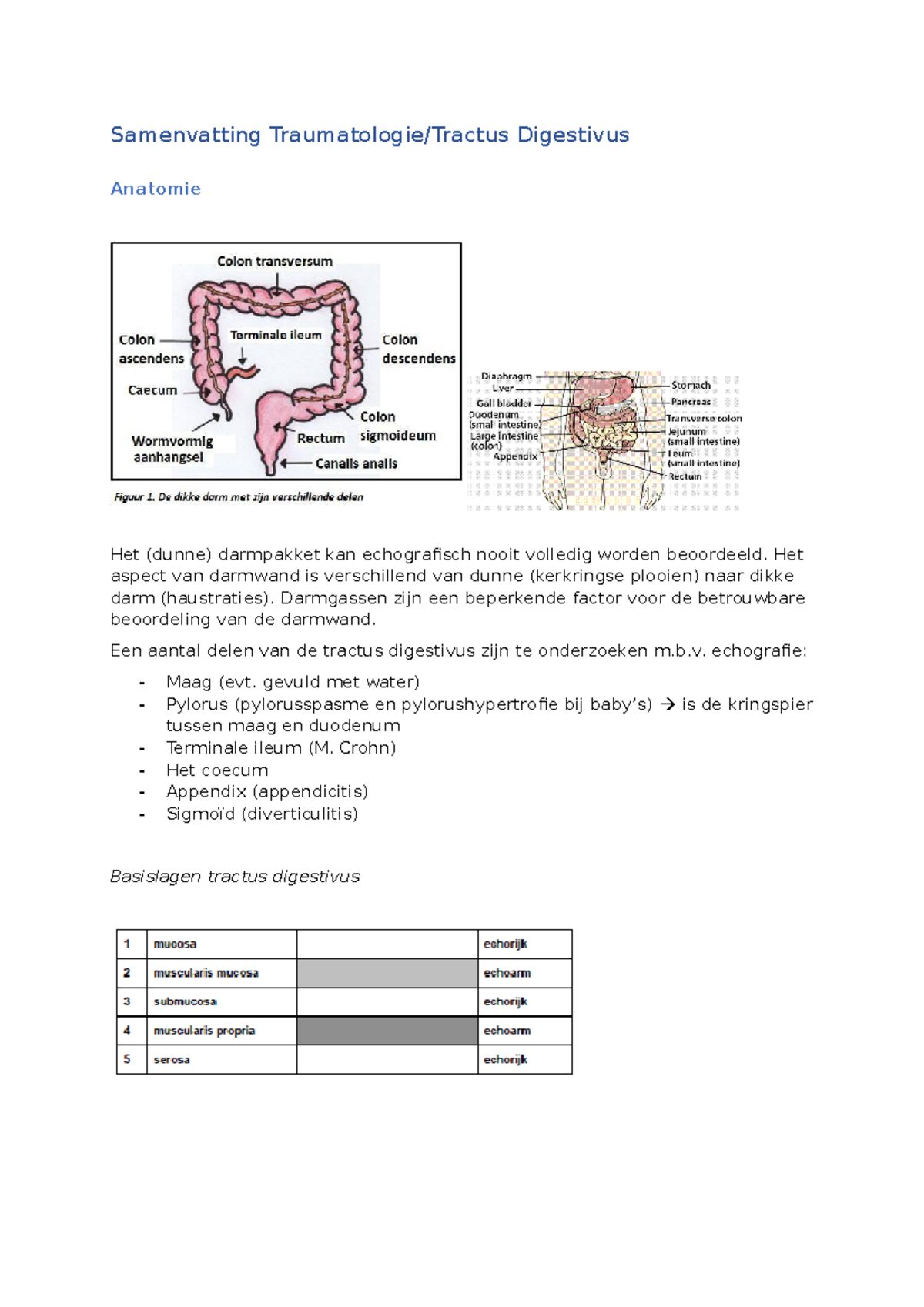 Doc3 Trauma & Echografie Tractus Digestivus Samenvatting - Studeersnel