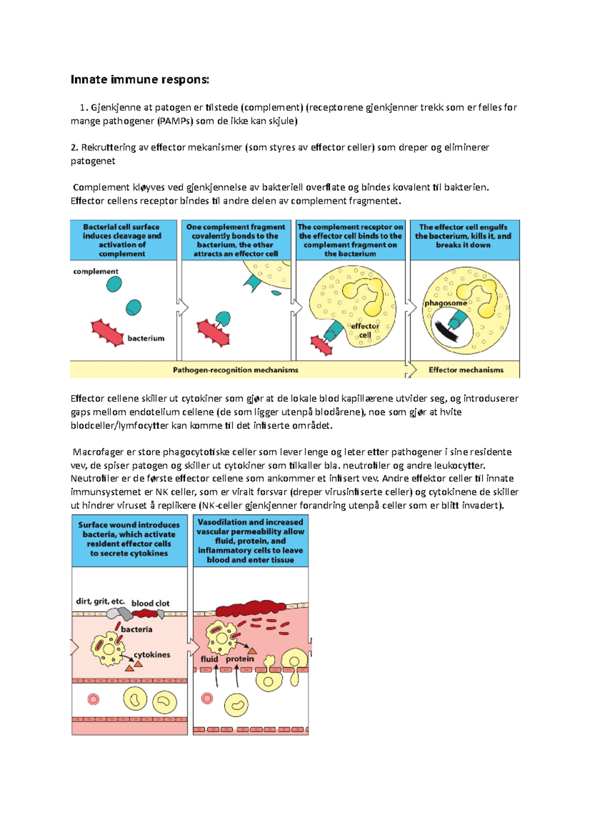 Kap1-Elements of the immune system and their roles in defense - Innate ...