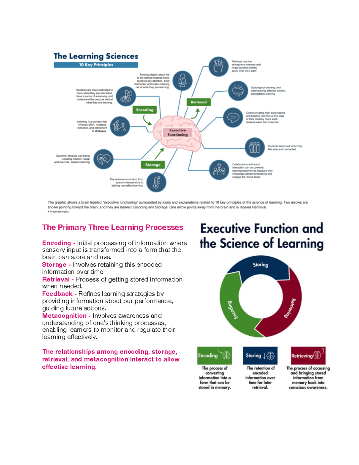 Learning Processes: Encoding, Storage, and Retrieval - Studocu