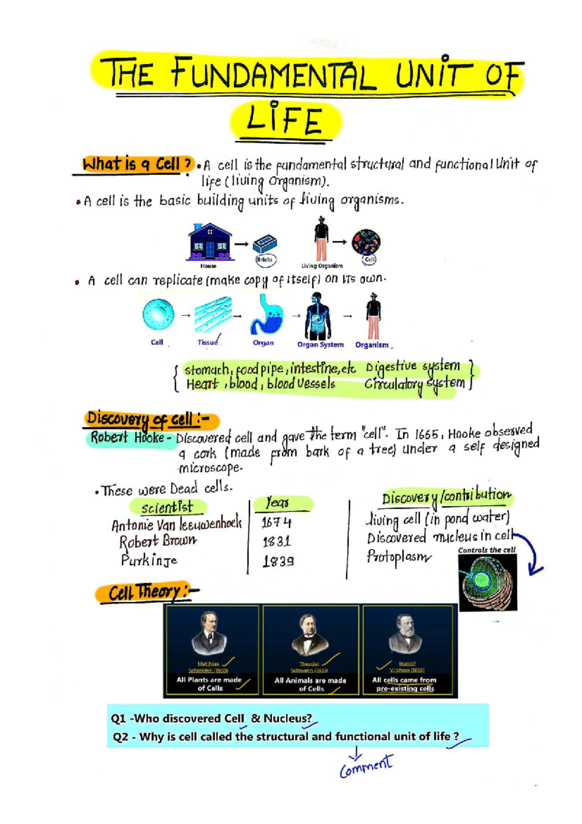 Biology 101: The Fundamental Unit of Life - Cell Structure & Function ...